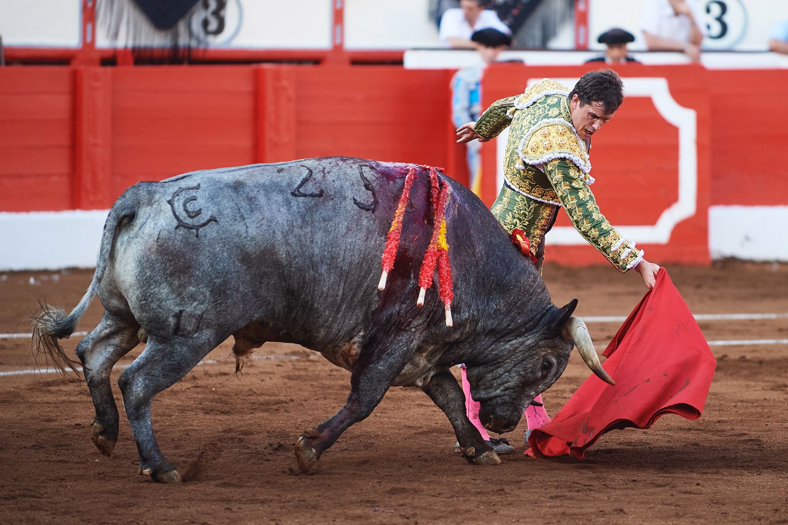 <p>Foto: © César Ortiz</p>