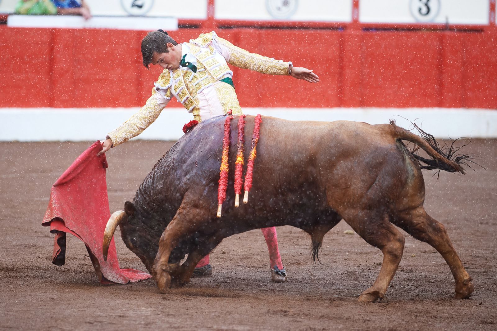 <p>Foto: © César Ortiz</p>