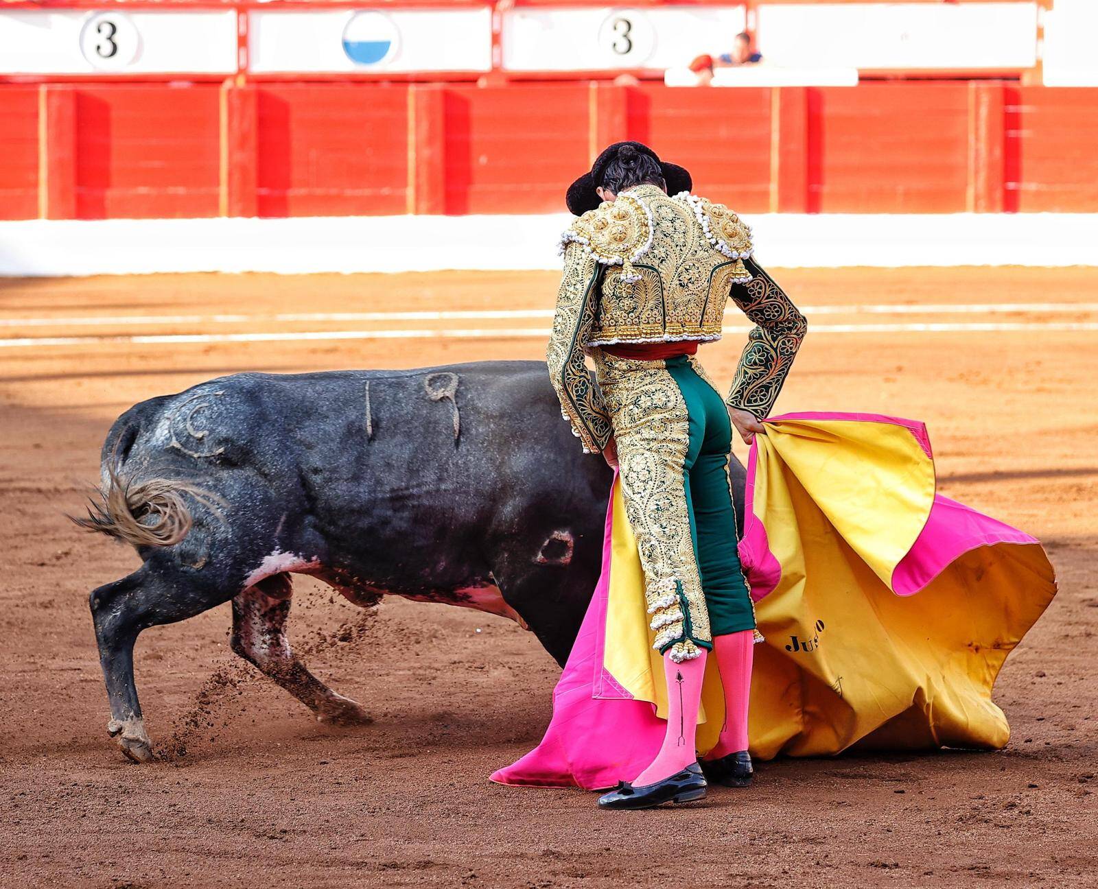 <p>Foto: © Joaquín Arjona</p>