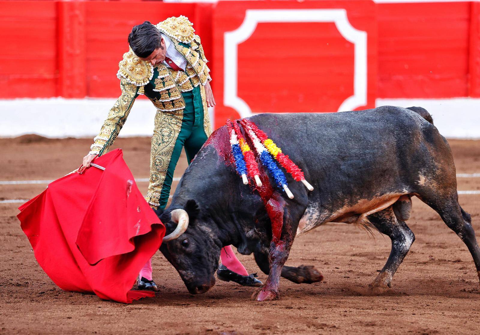 <p>Foto: © Joaquín Arjona</p>