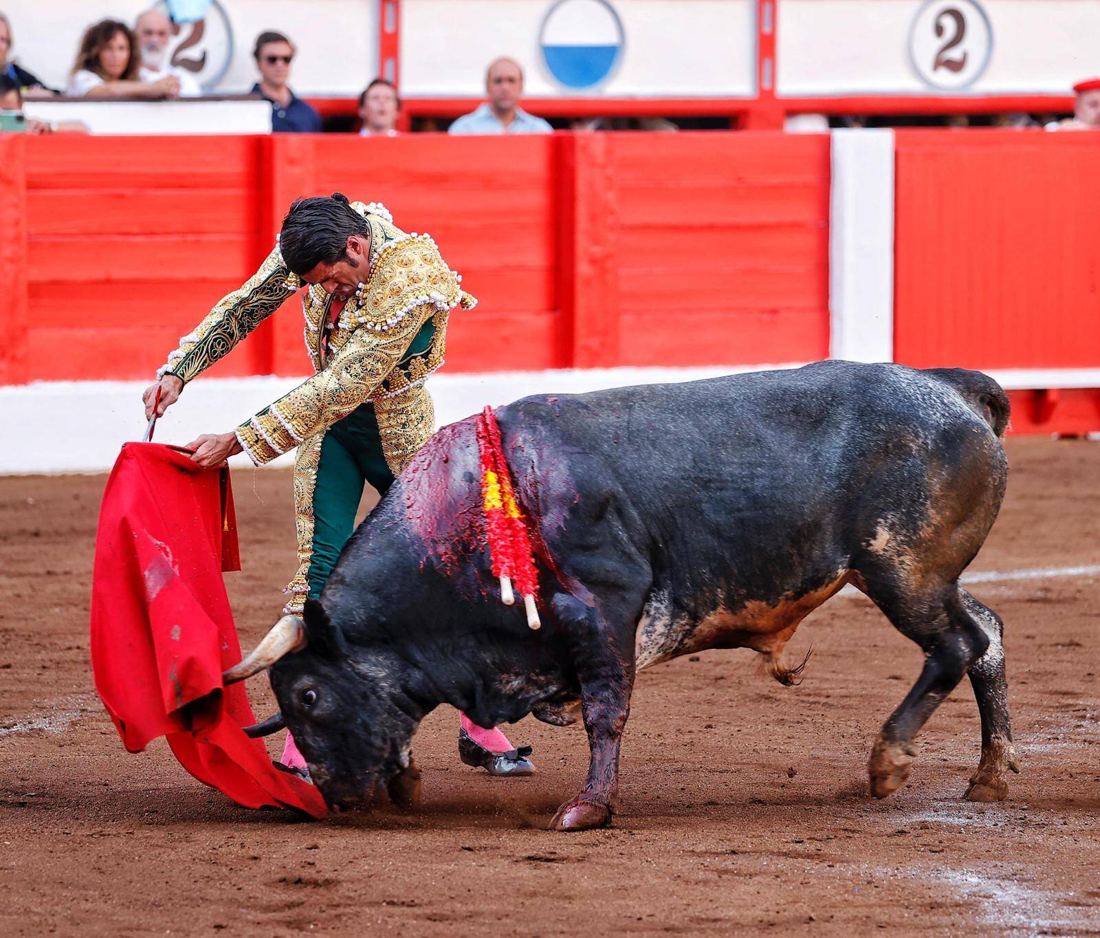 <p>Foto: © Joaquín Arjona</p>
