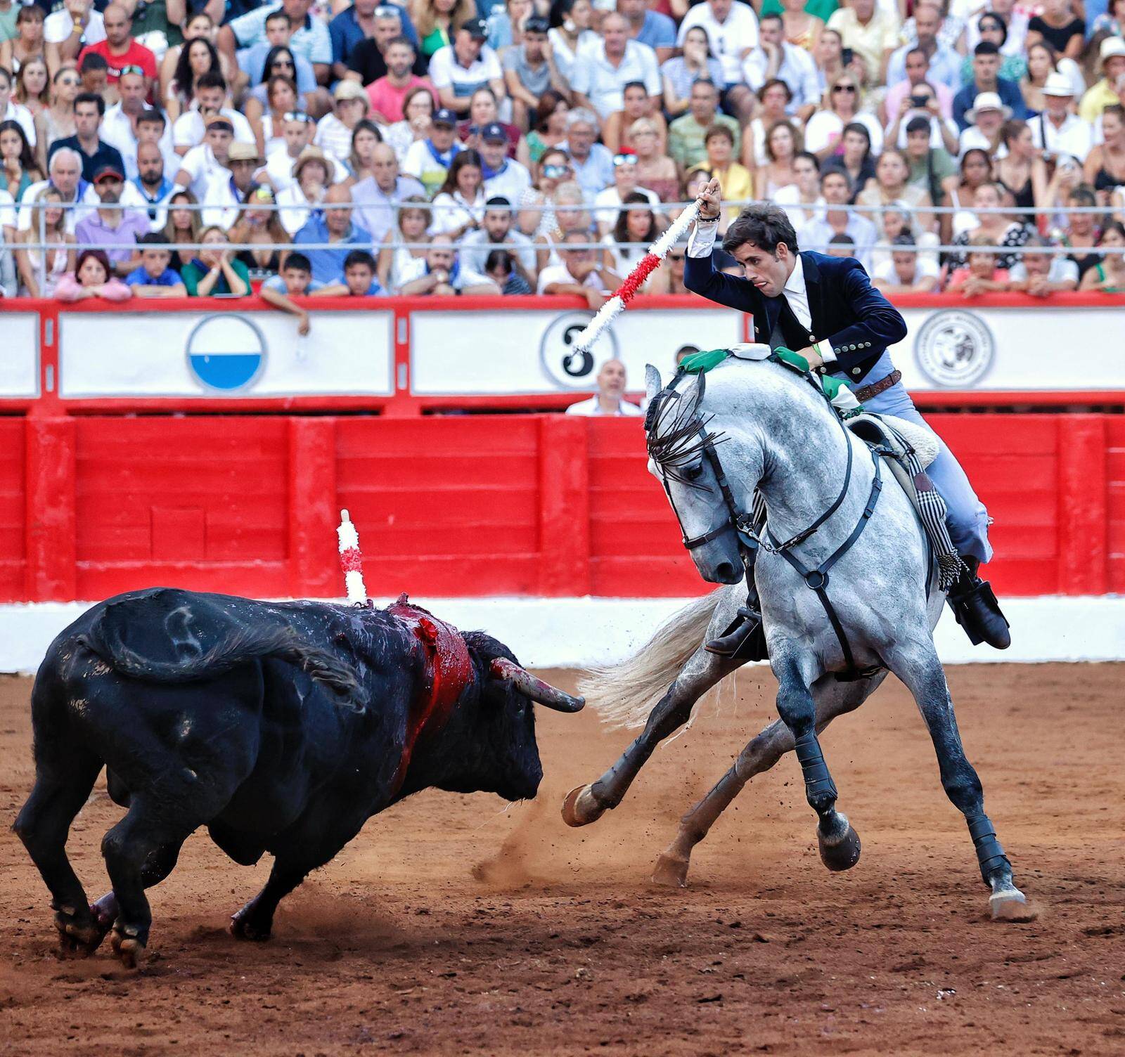 <p>Foto: Lances de Futuro</p>