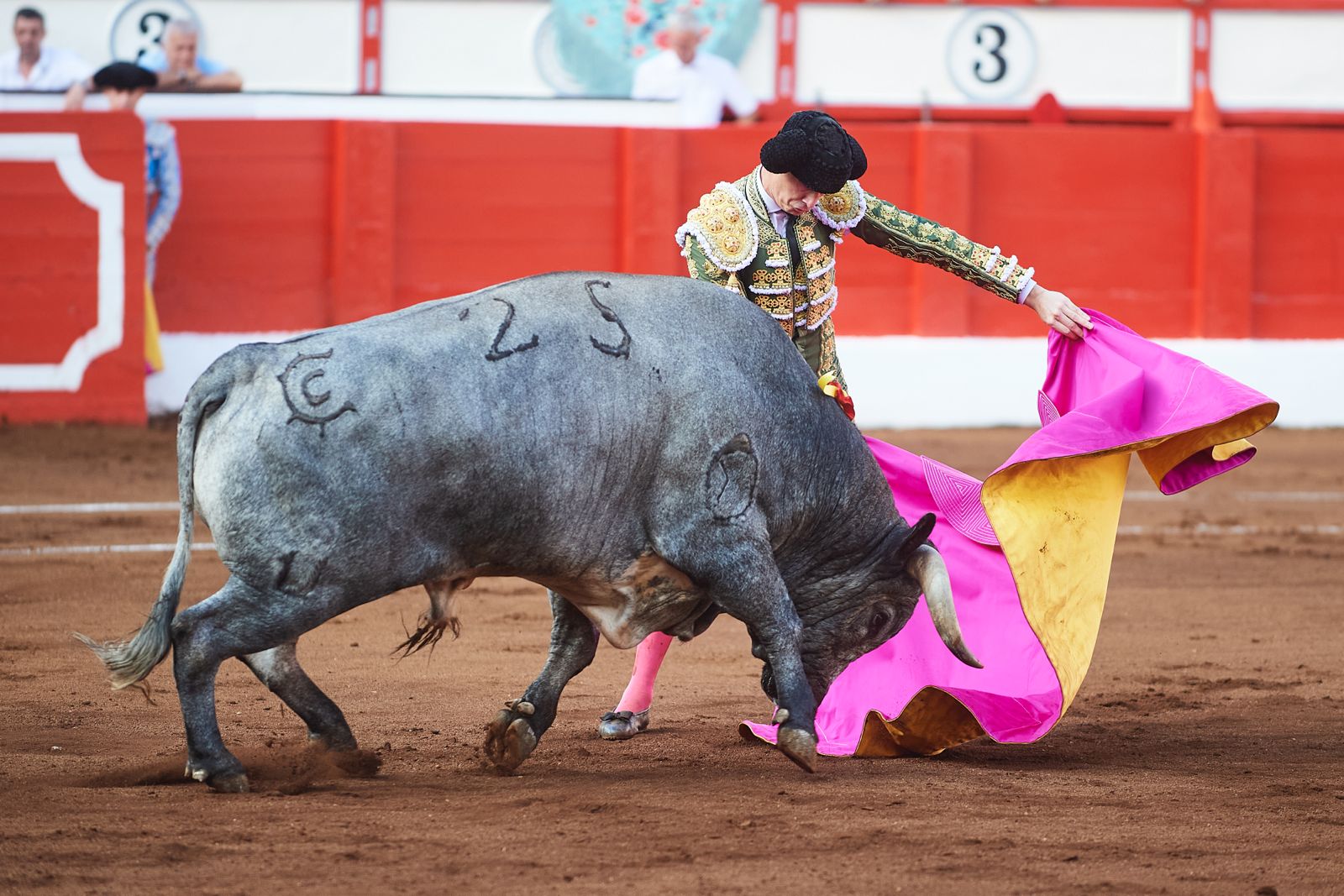 <p>Foto: © César Ortiz</p>