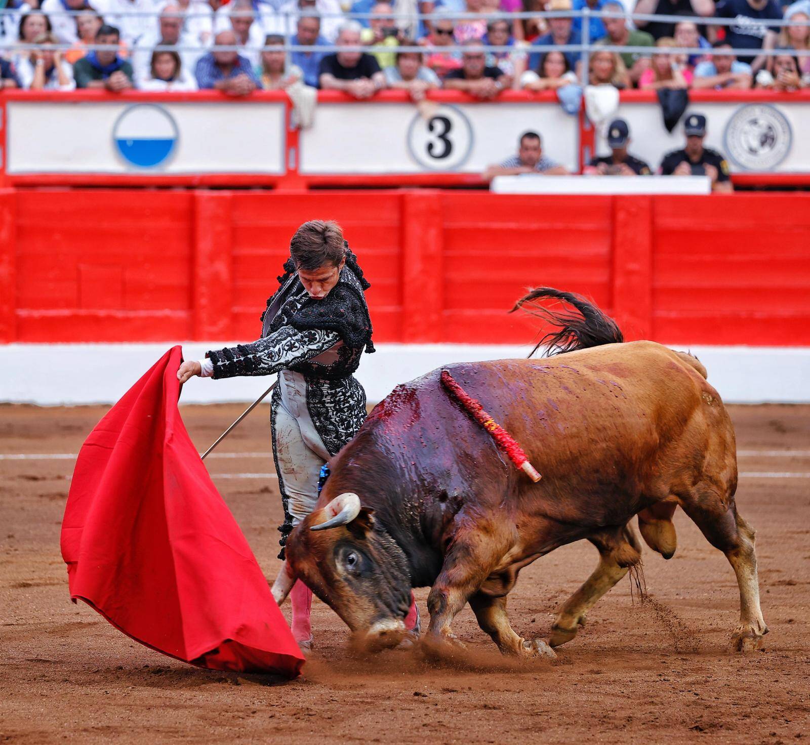 <p>Foto: Lances de Futuro</p>