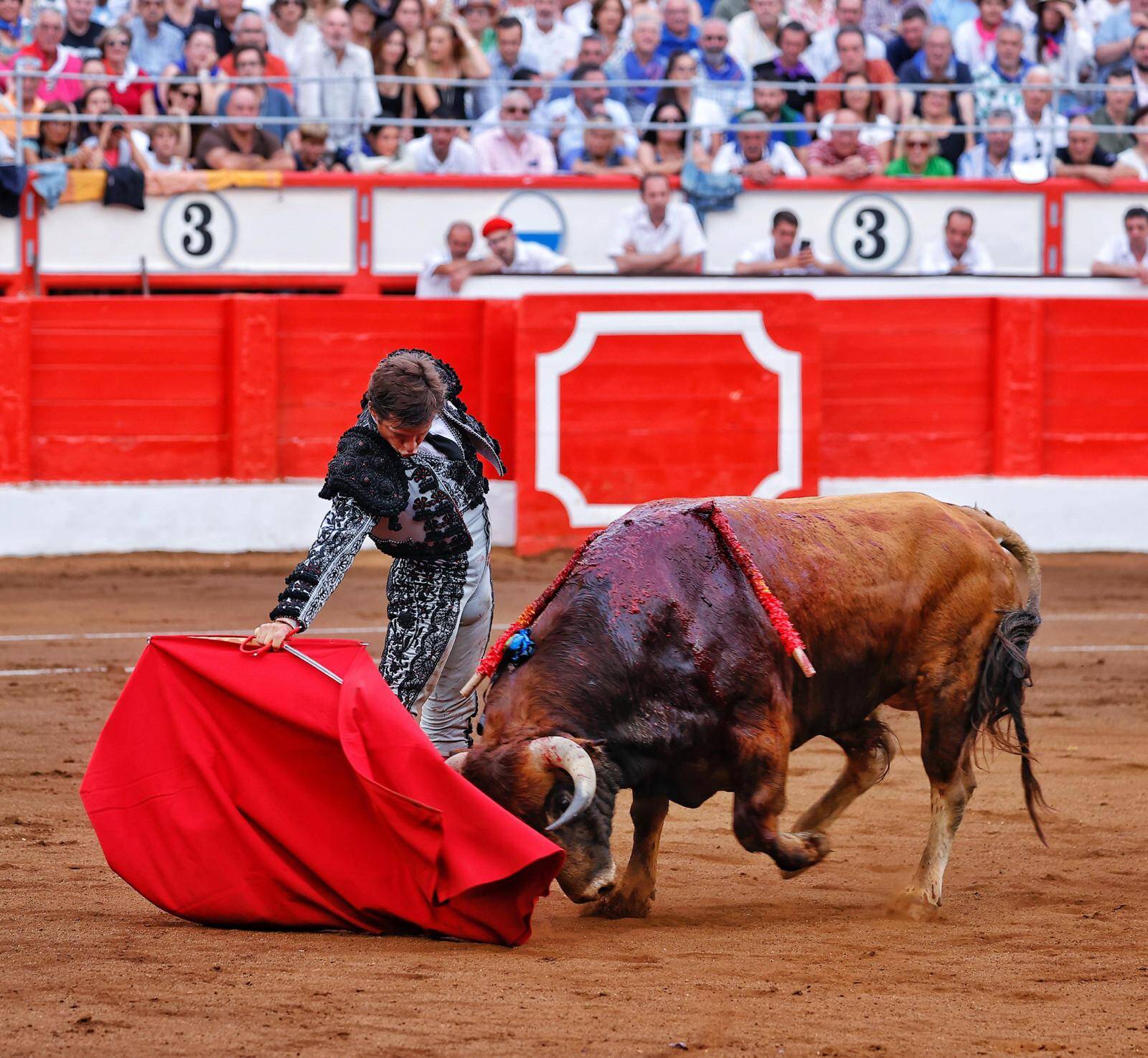 <p>Foto: Lances de Futuro</p>