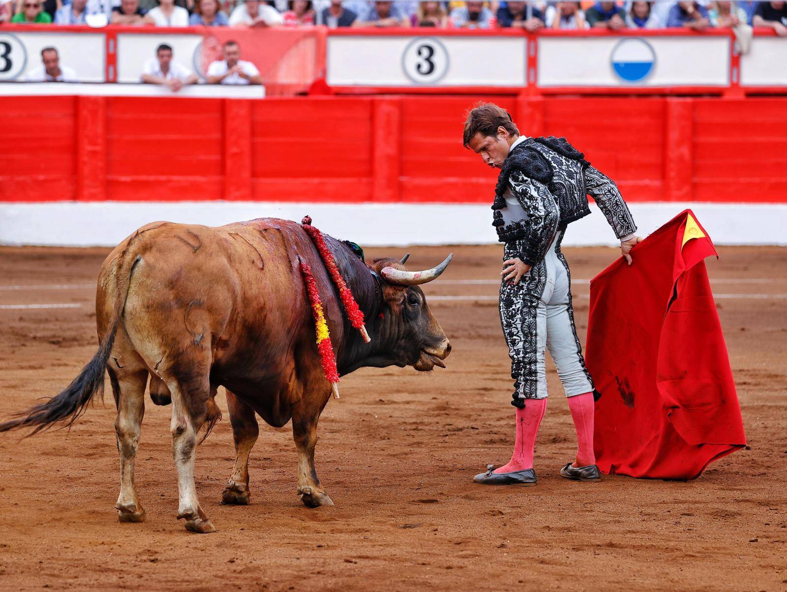 <p>Foto: Lances de Futuro</p>