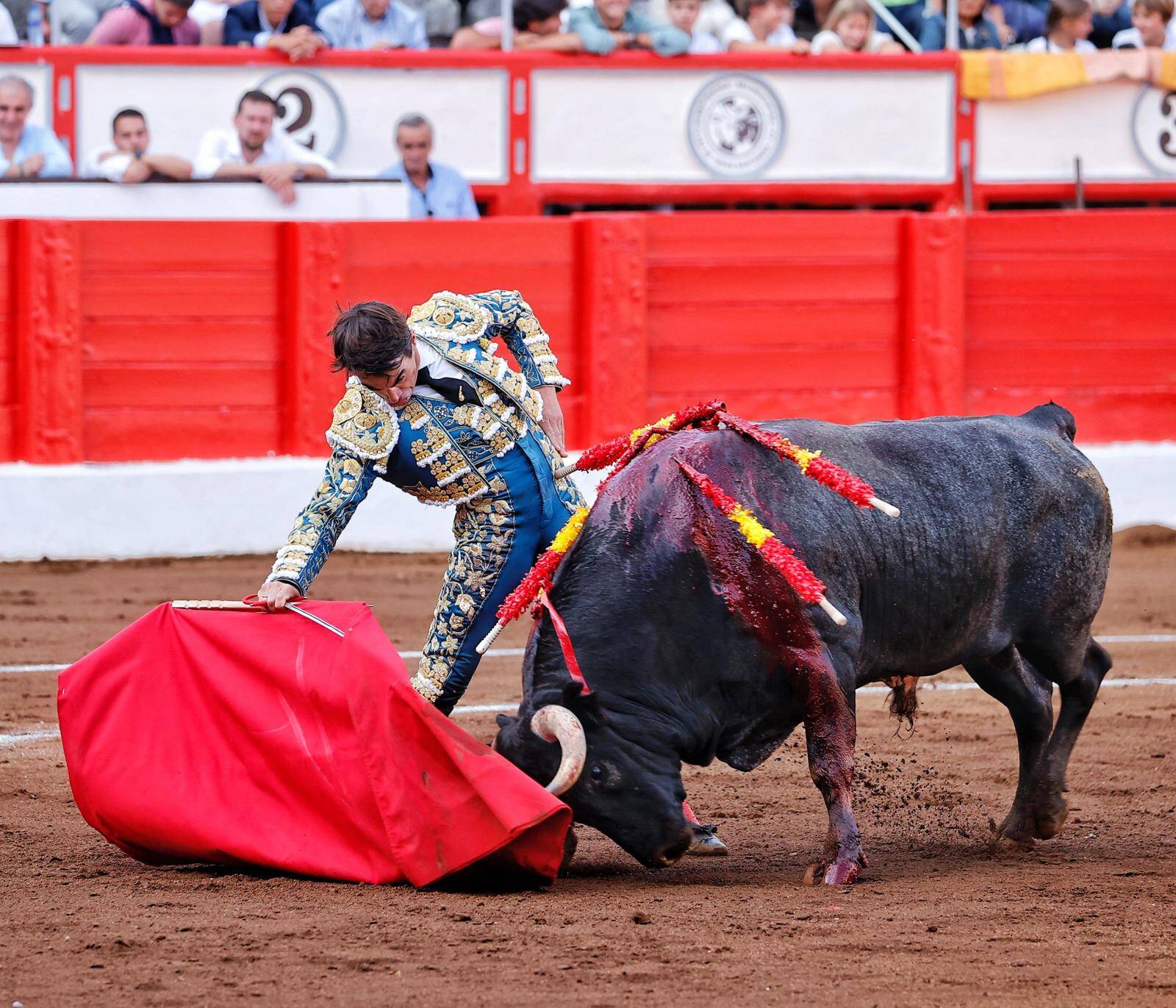 <p>Foto: © Joaquín Arjona</p>