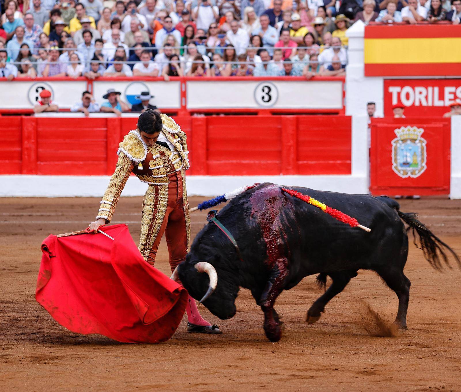 <p>Foto: Lances de Futuro</p>
