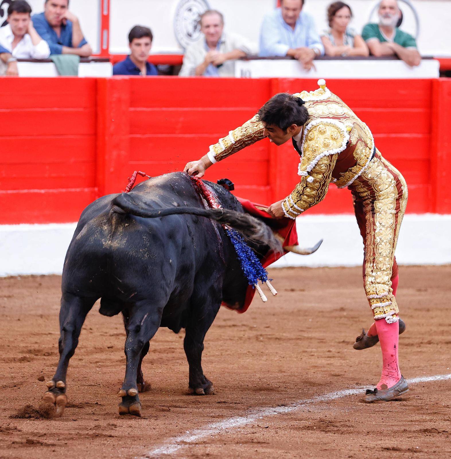 <p>Foto: Lances de Futuro</p>