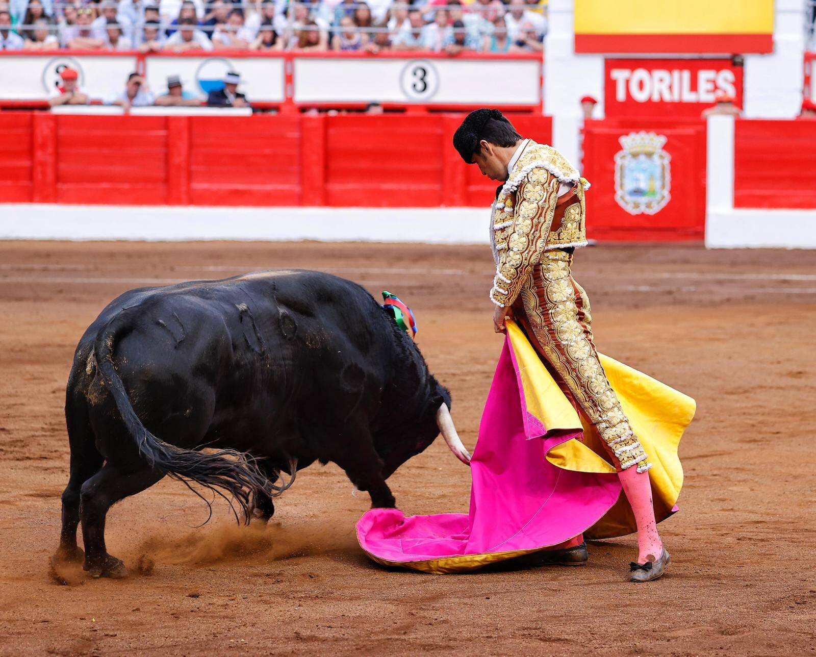 <p>Foto: Lances de Futuro</p>