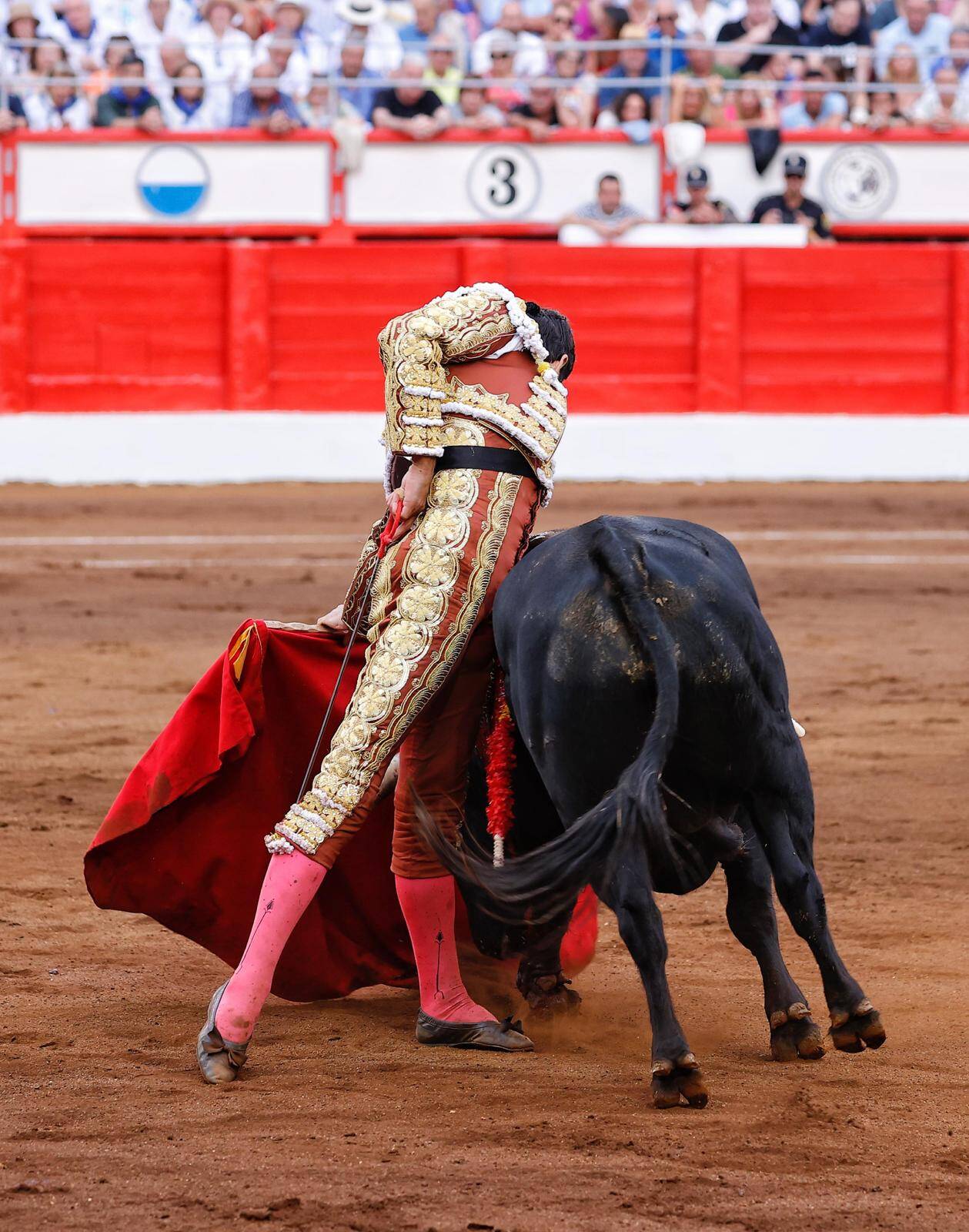<p>Foto: Lances de Futuro</p>