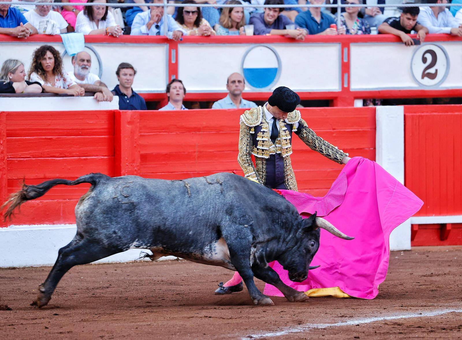 <p>Foto: © Joaquín Arjona</p>