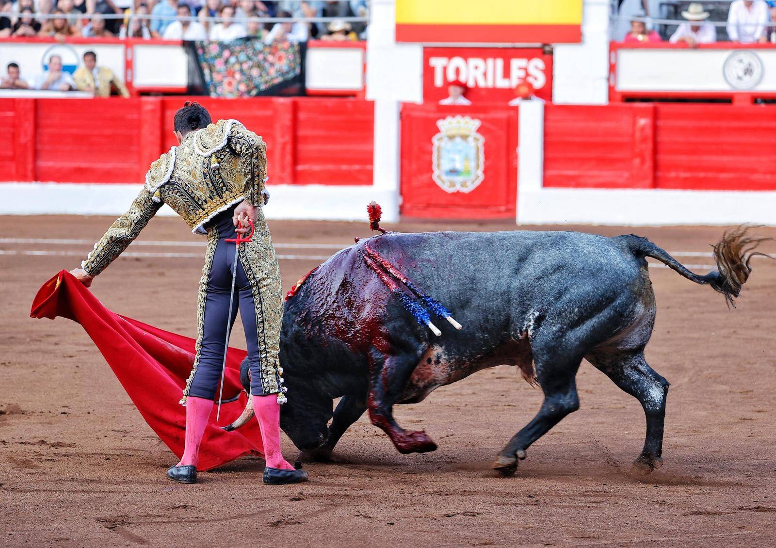 <p>Foto: © Joaquín Arjona</p>