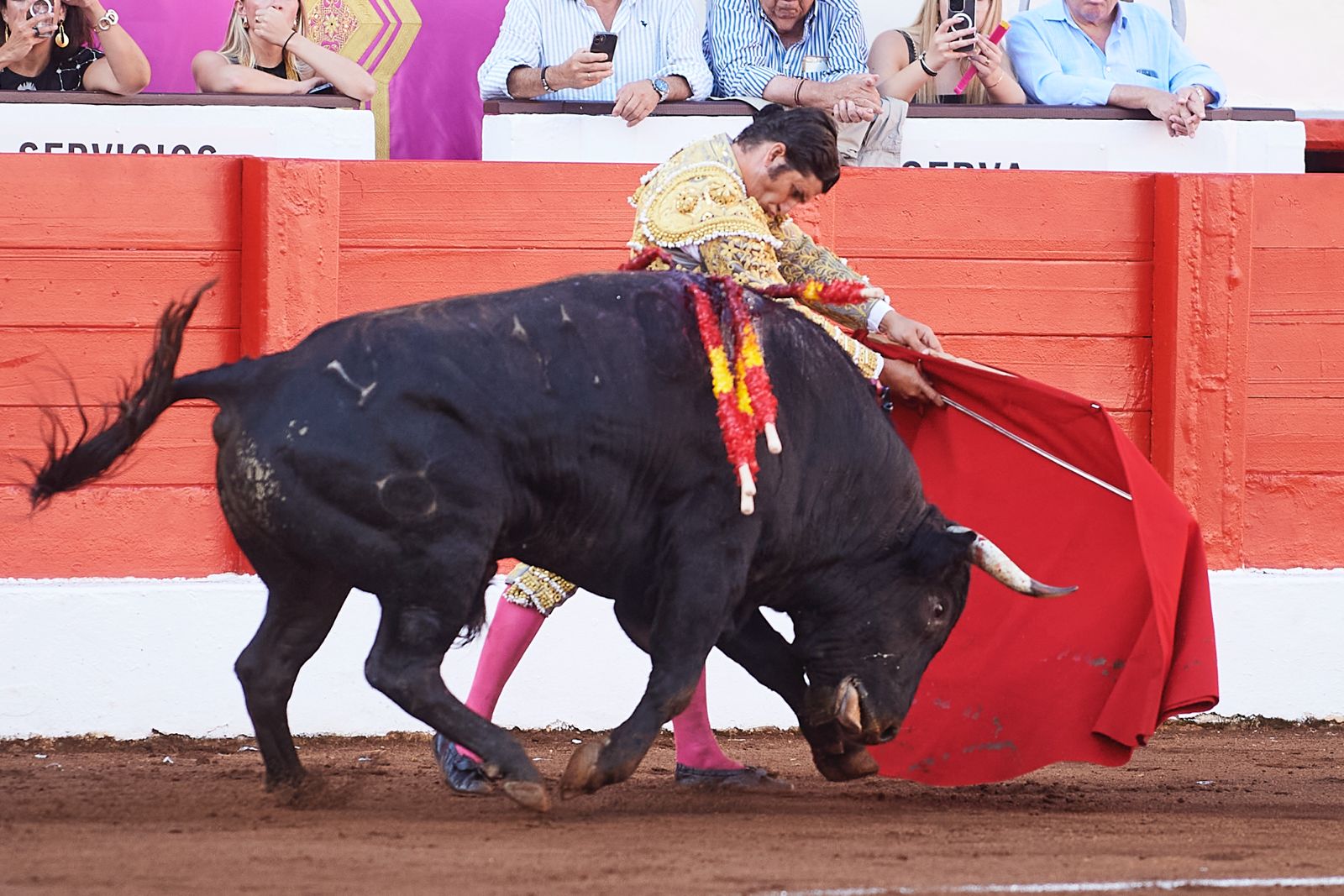 <p>Foto: © César Ortiz</p>