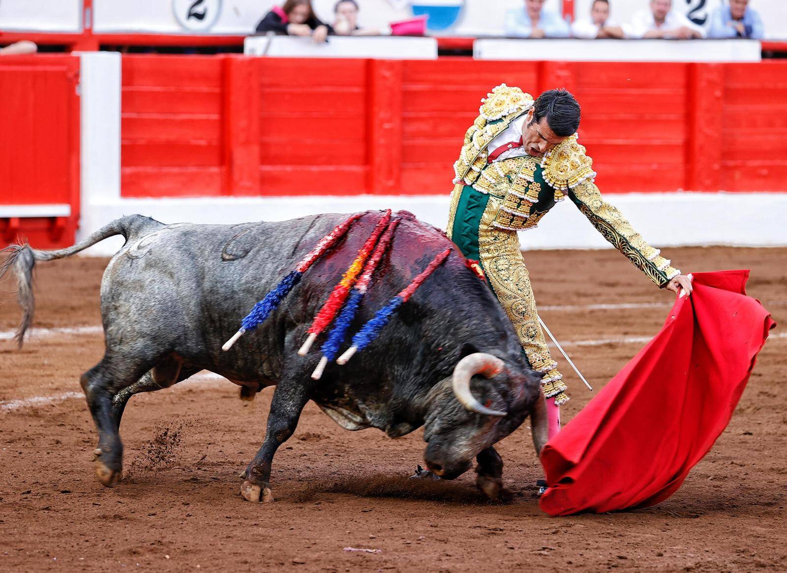 <p>Foto: © Joaquín Arjona</p>