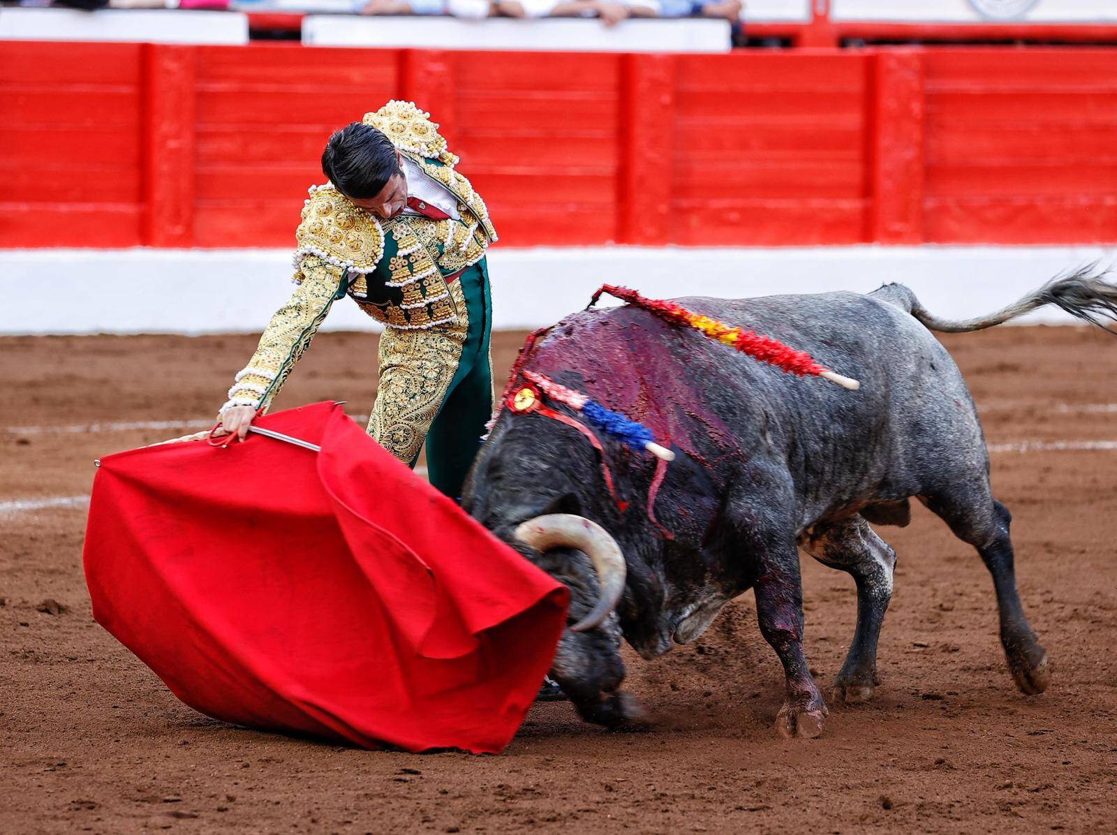 <p>Foto: © Joaquín Arjona</p>