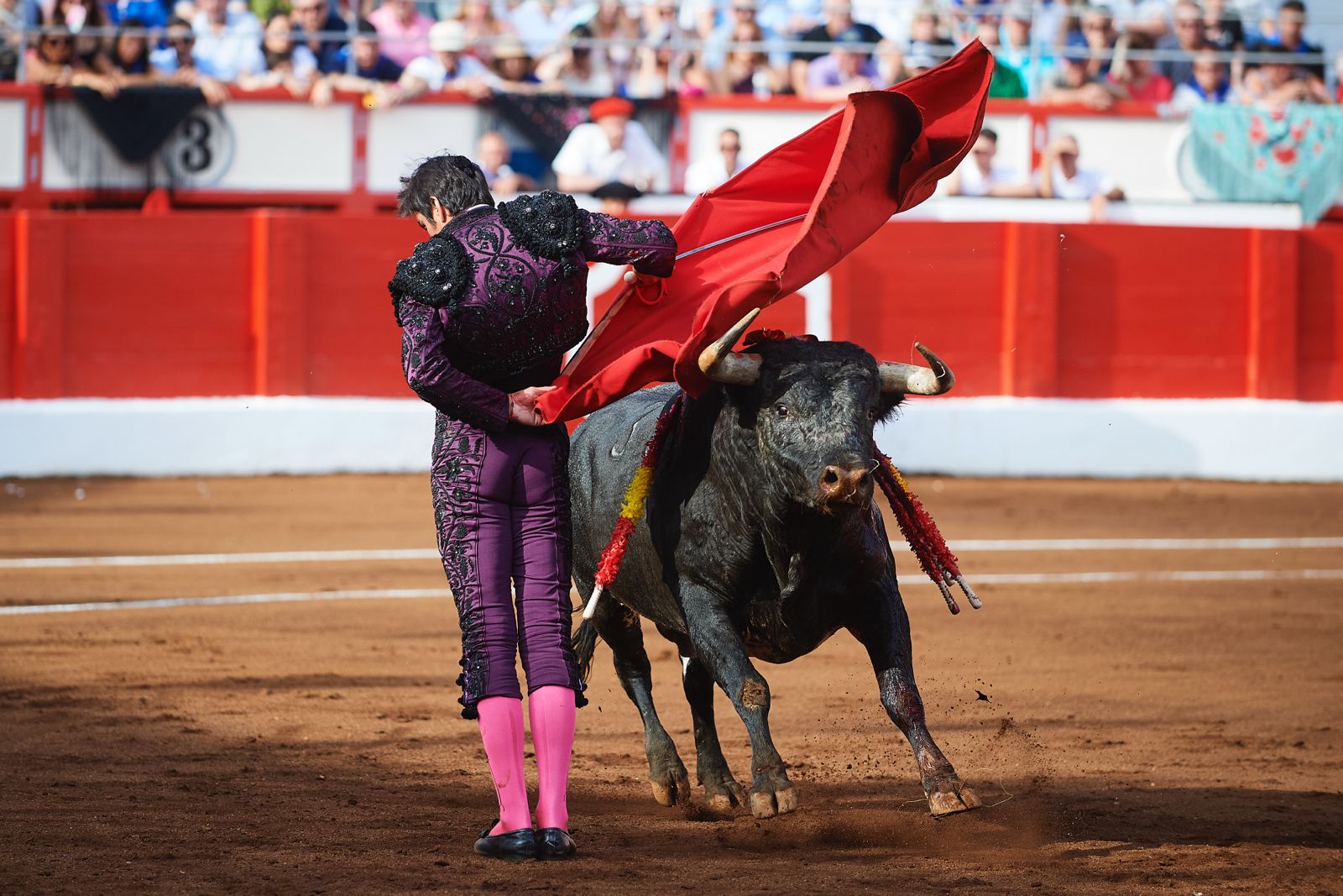 <p>Foto: © César Ortiz</p>