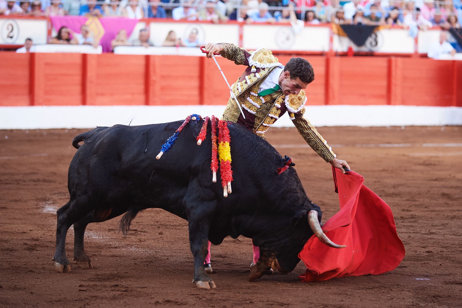 <p>Foto: © César Ortiz</p>