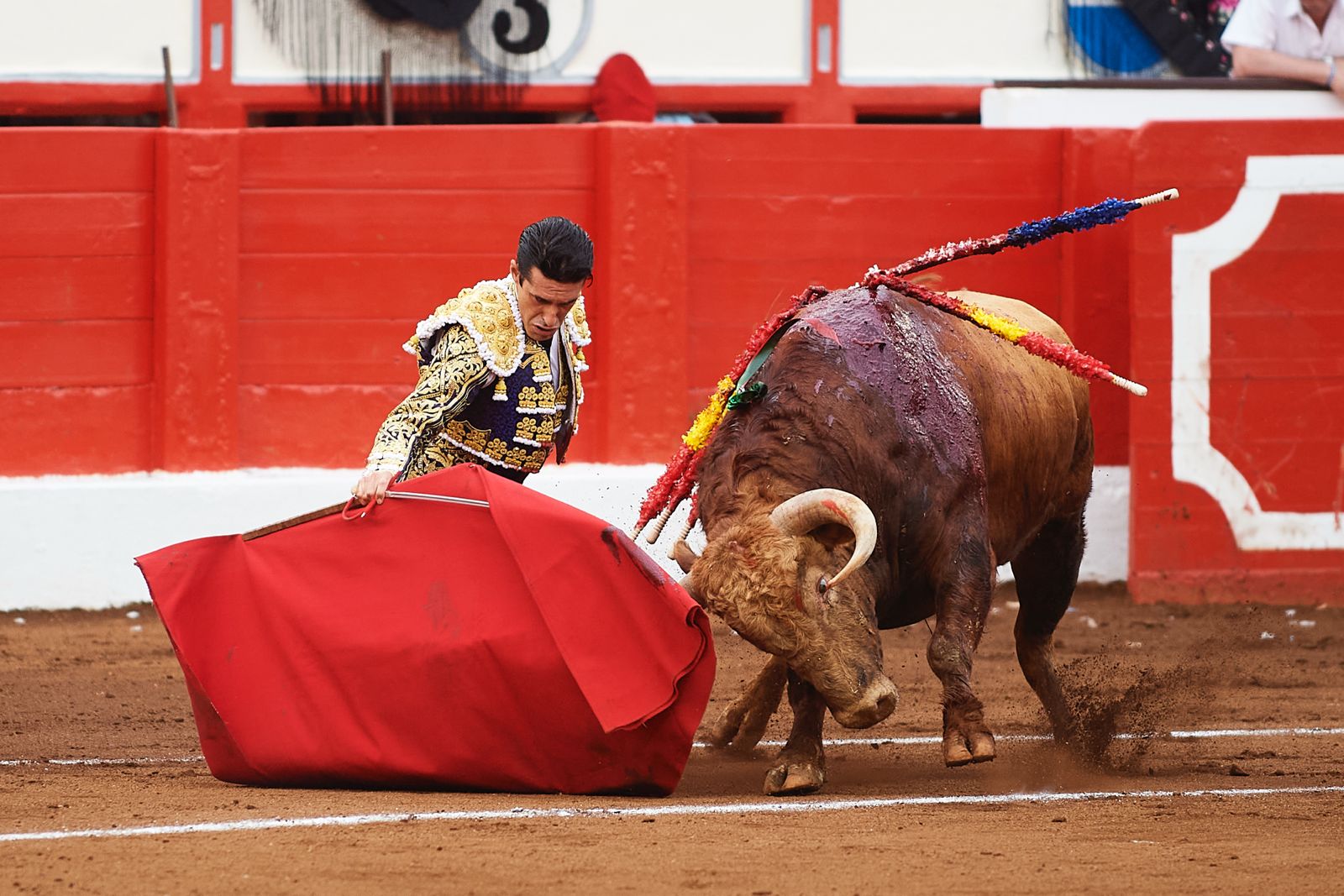 <p>Foto: © César Ortiz</p>