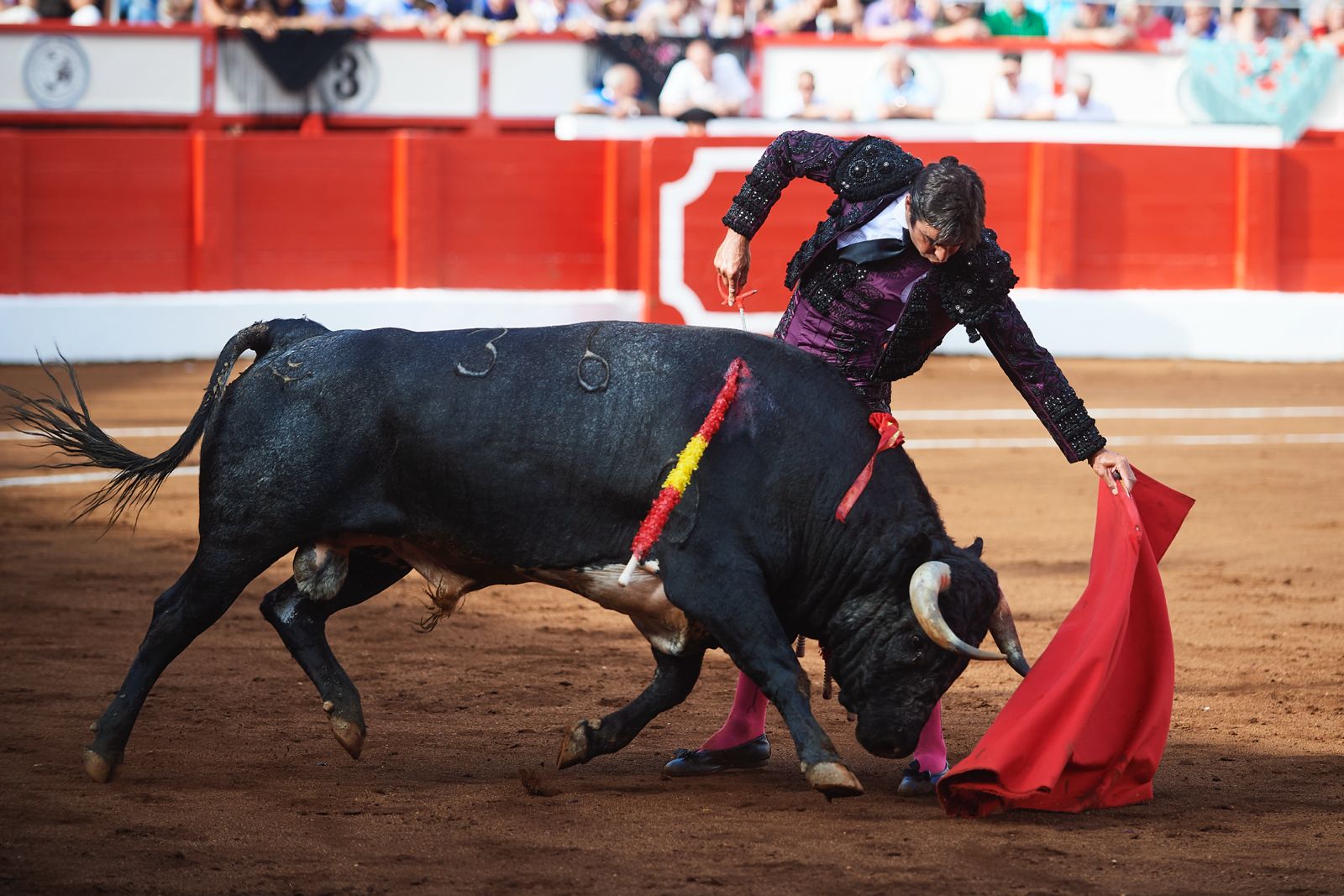 <p>Foto: © César Ortiz</p>