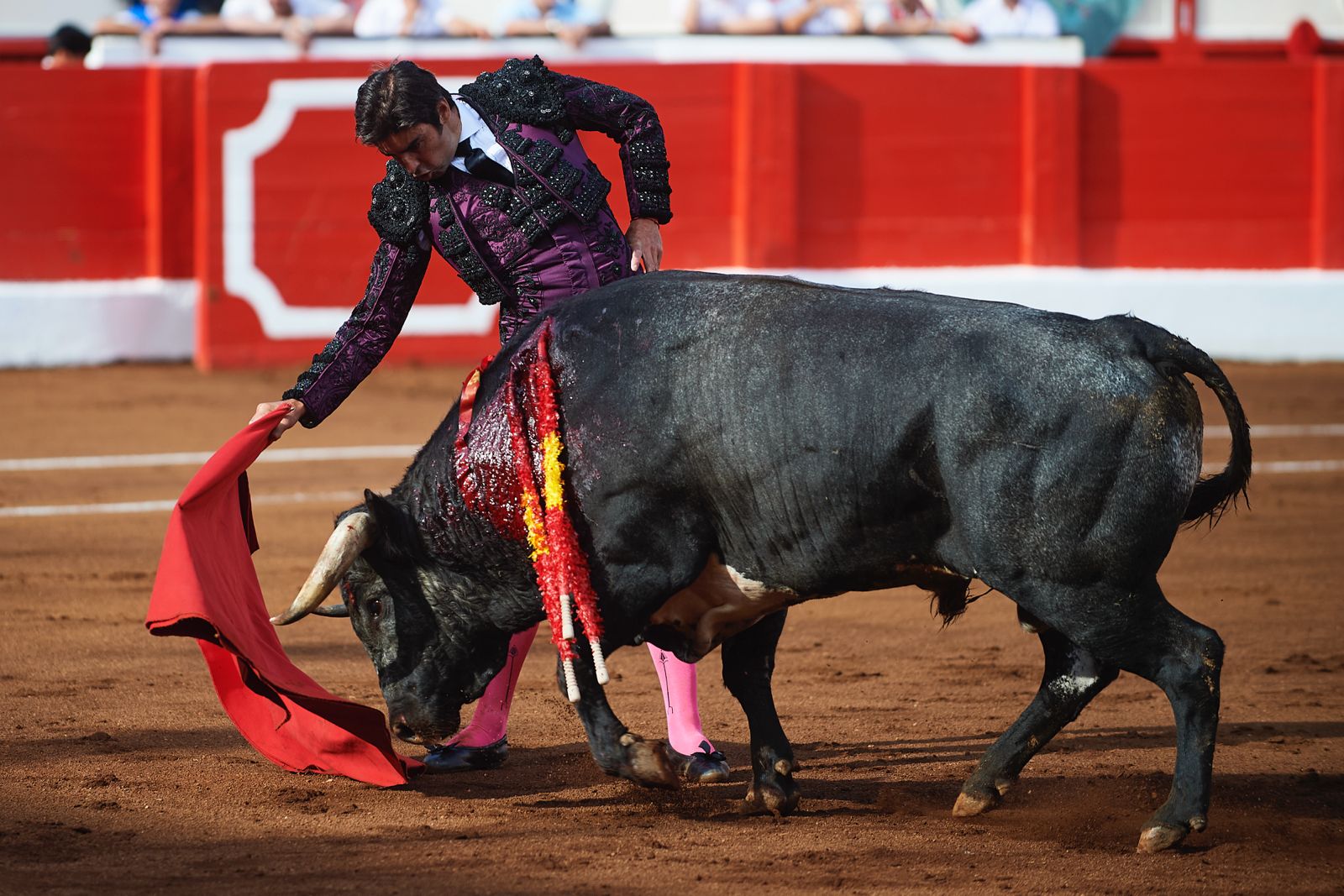<p>Foto: © César Ortiz</p>