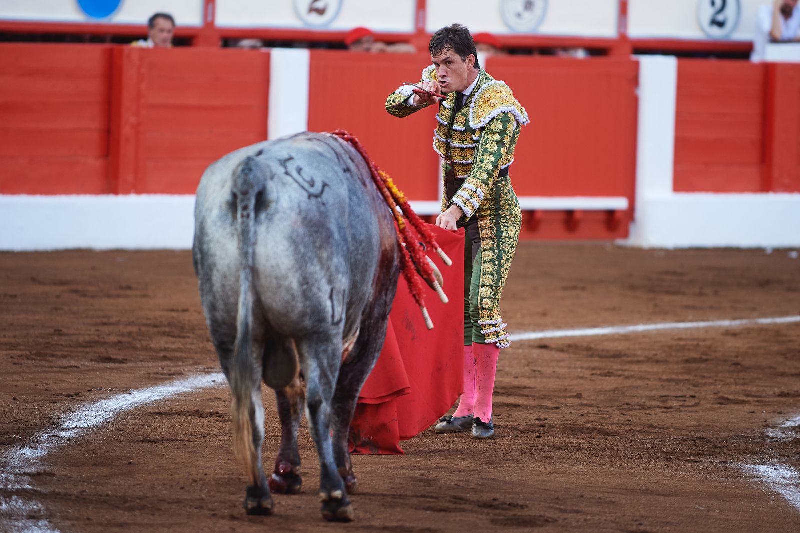 <p>Foto: © César Ortiz</p>