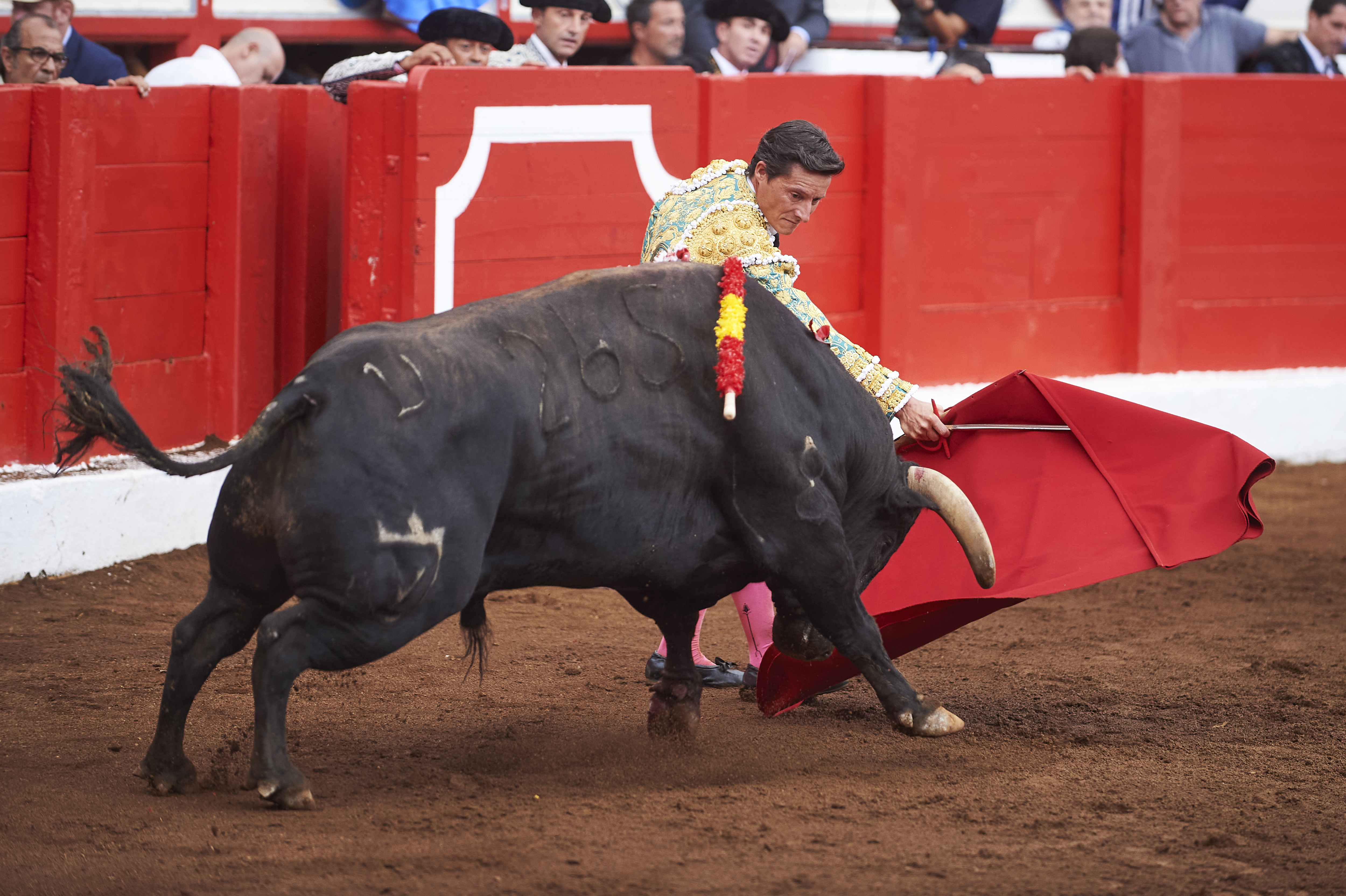 <p>© Foto: César Ortiz</p>