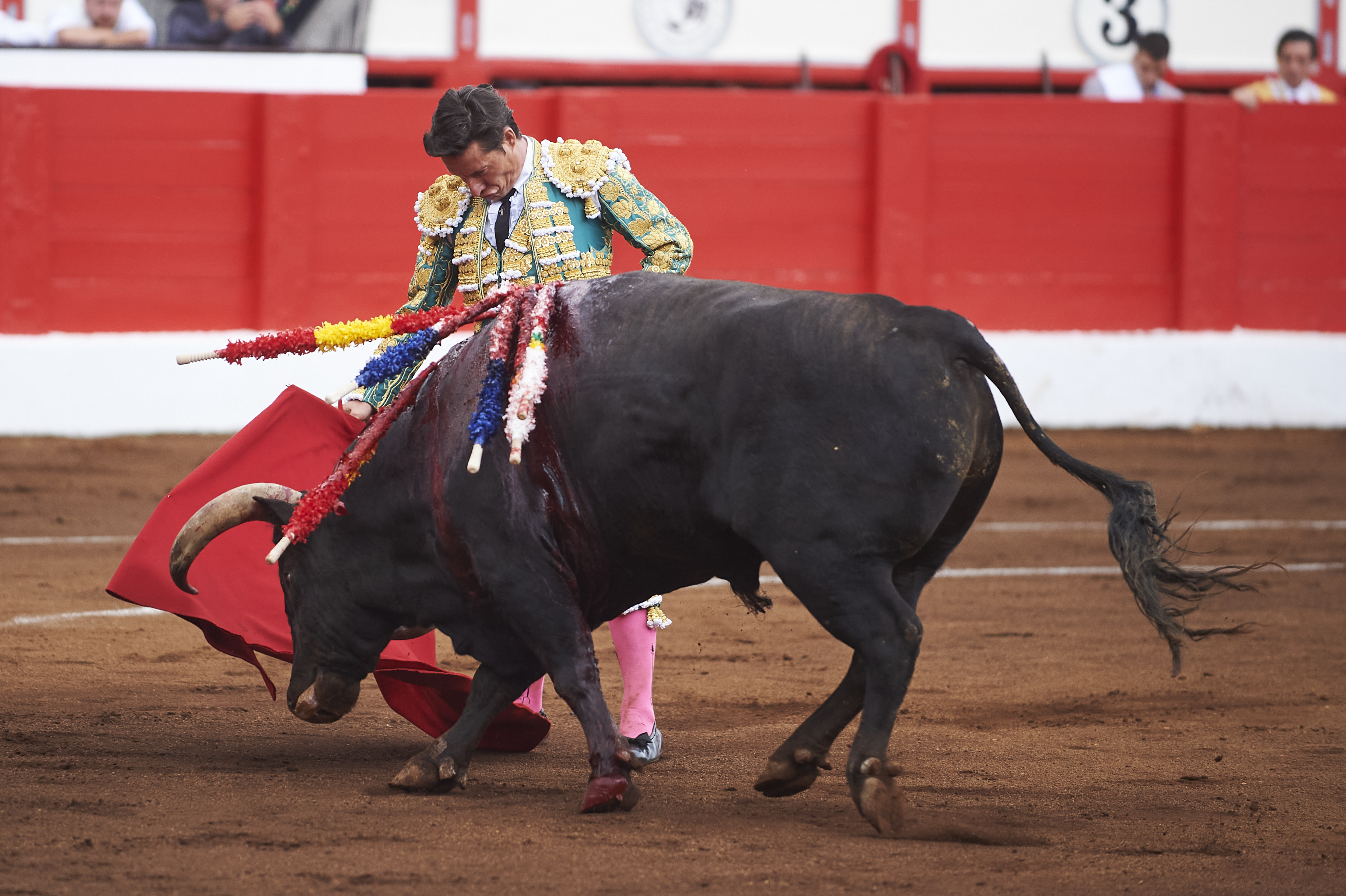 <p>© Foto: César Ortiz</p>