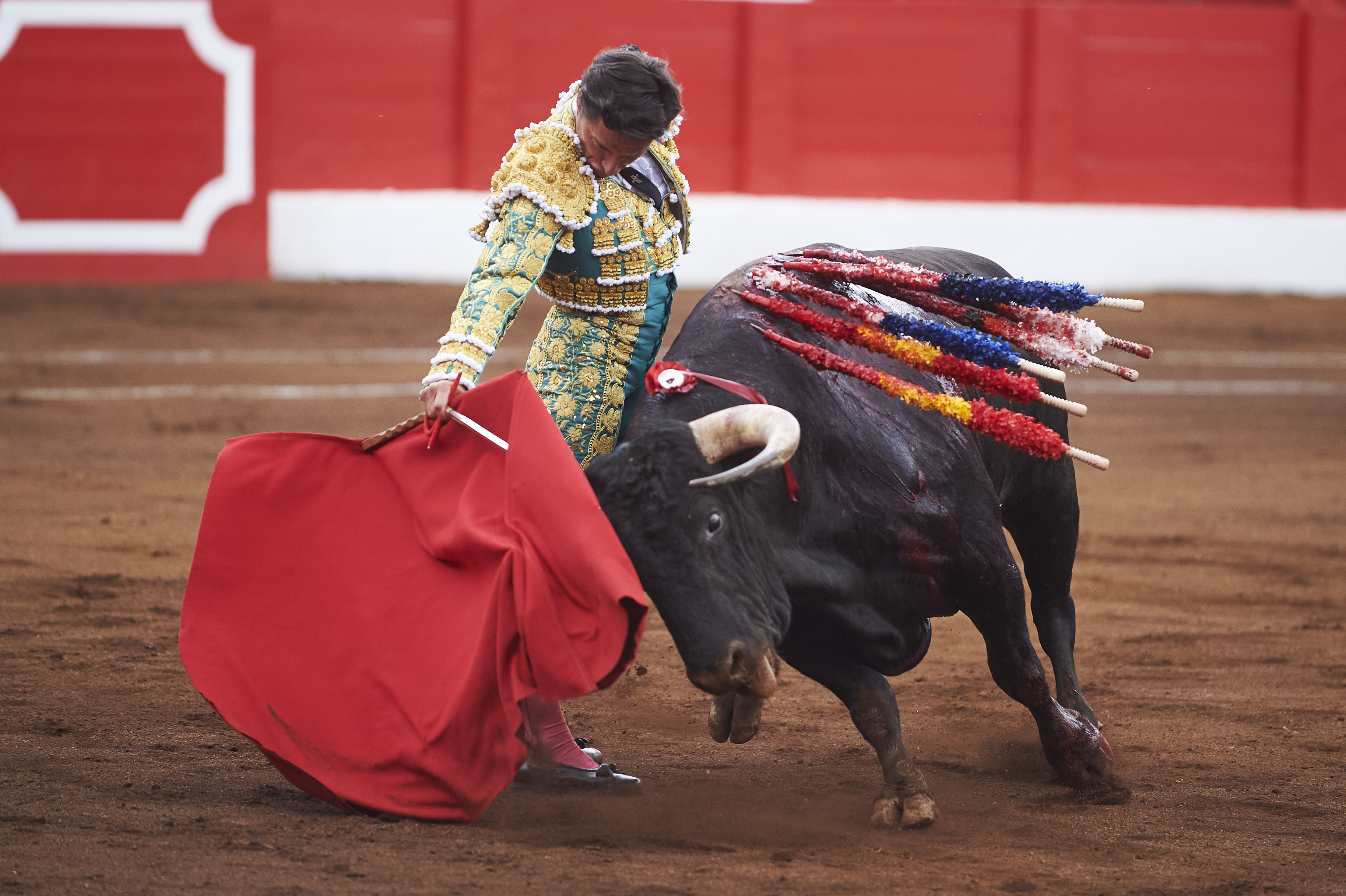 <p>© Foto: César Ortiz</p>