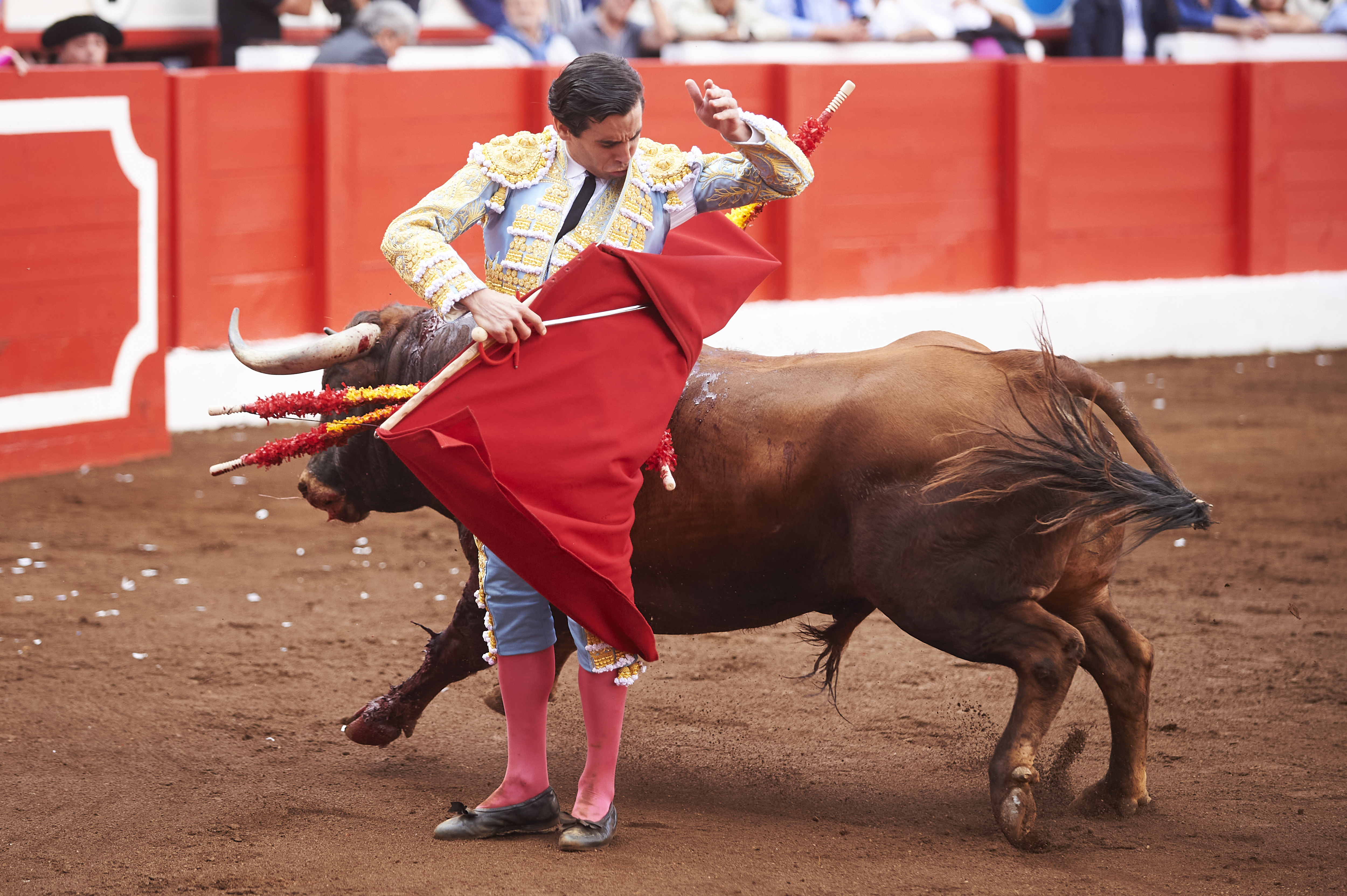 <p>© Foto: César Ortiz</p>