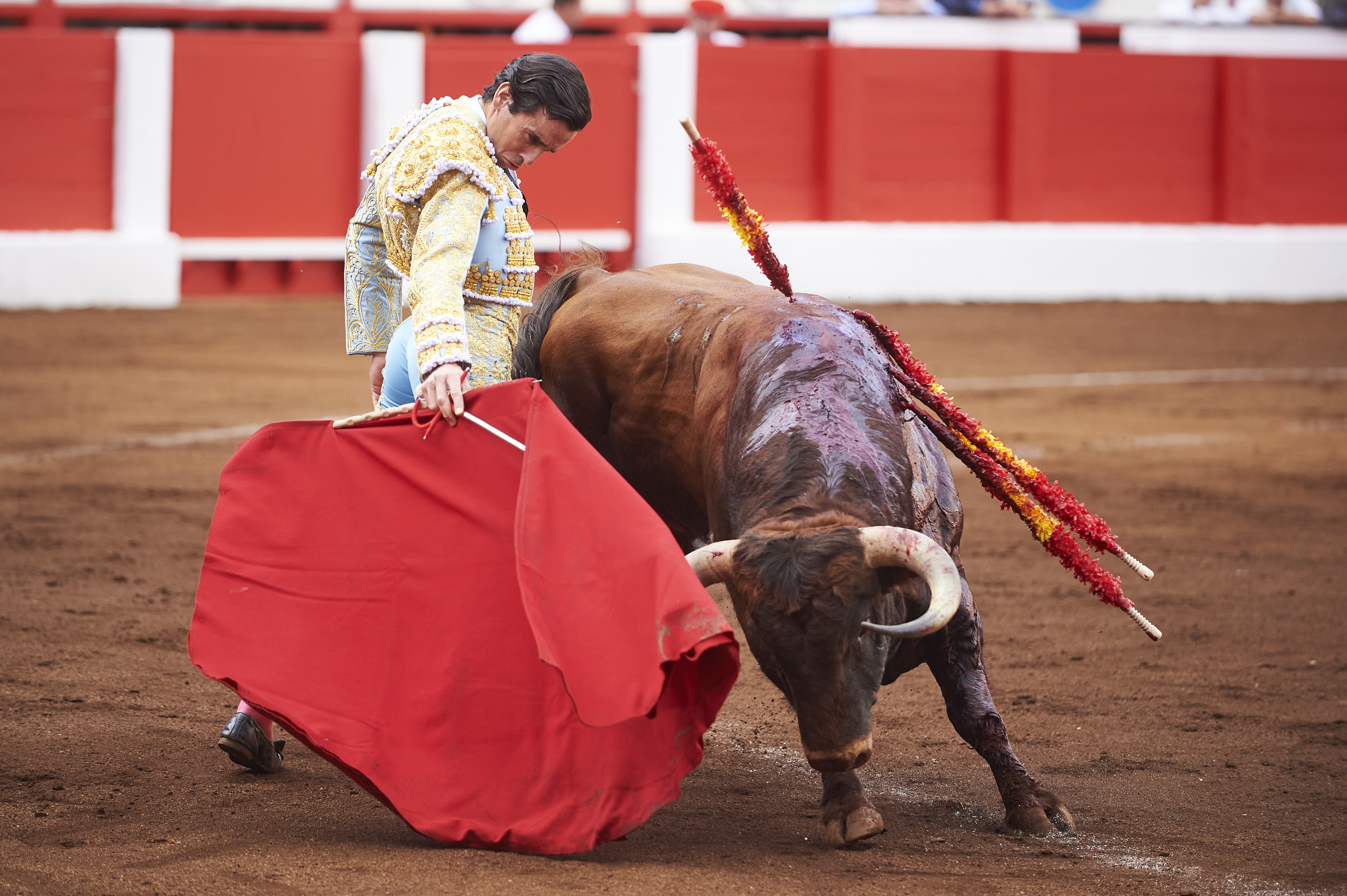 <p>© Foto: César Ortiz</p>