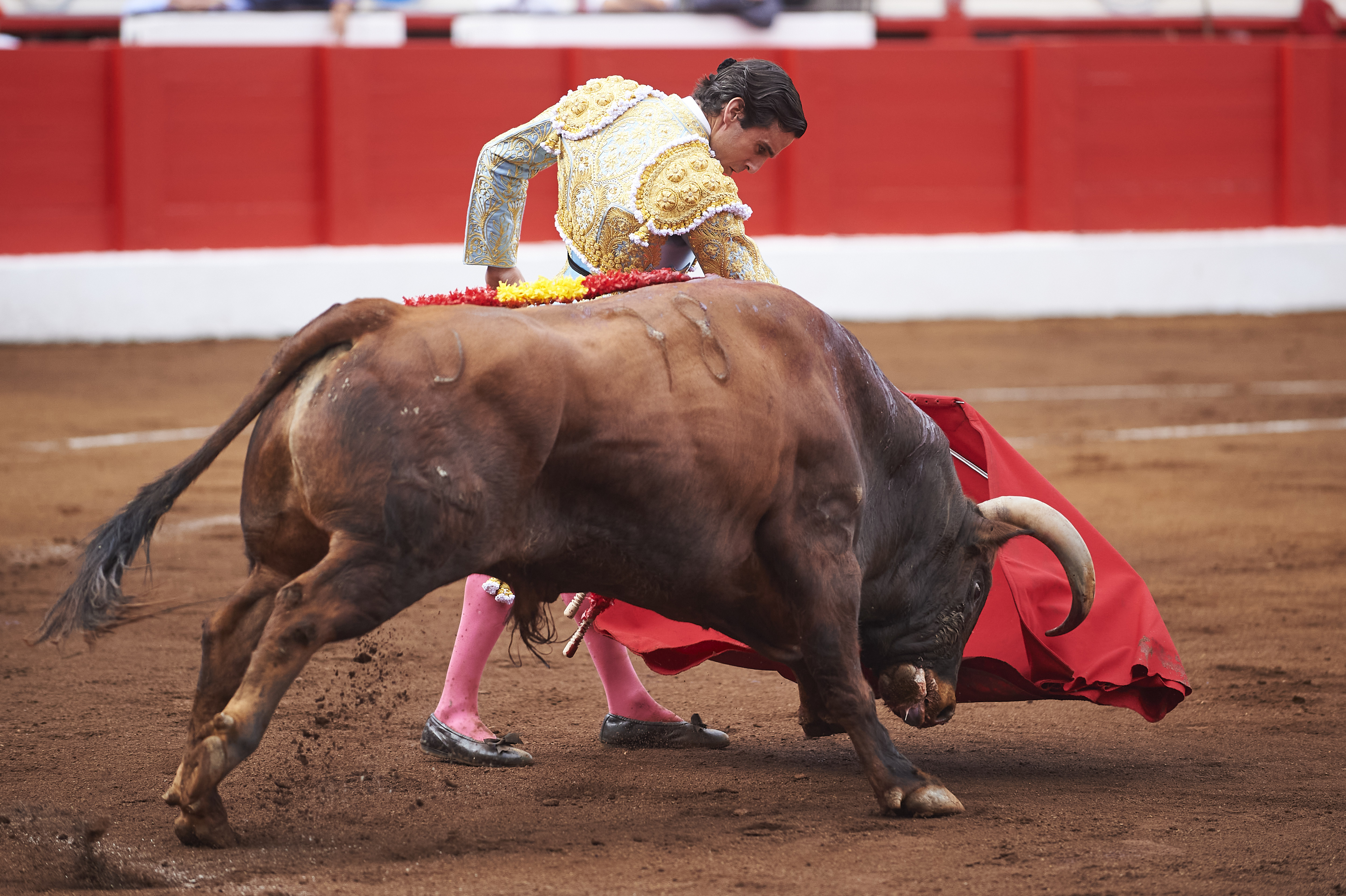 <p>© Foto: César Ortiz</p>