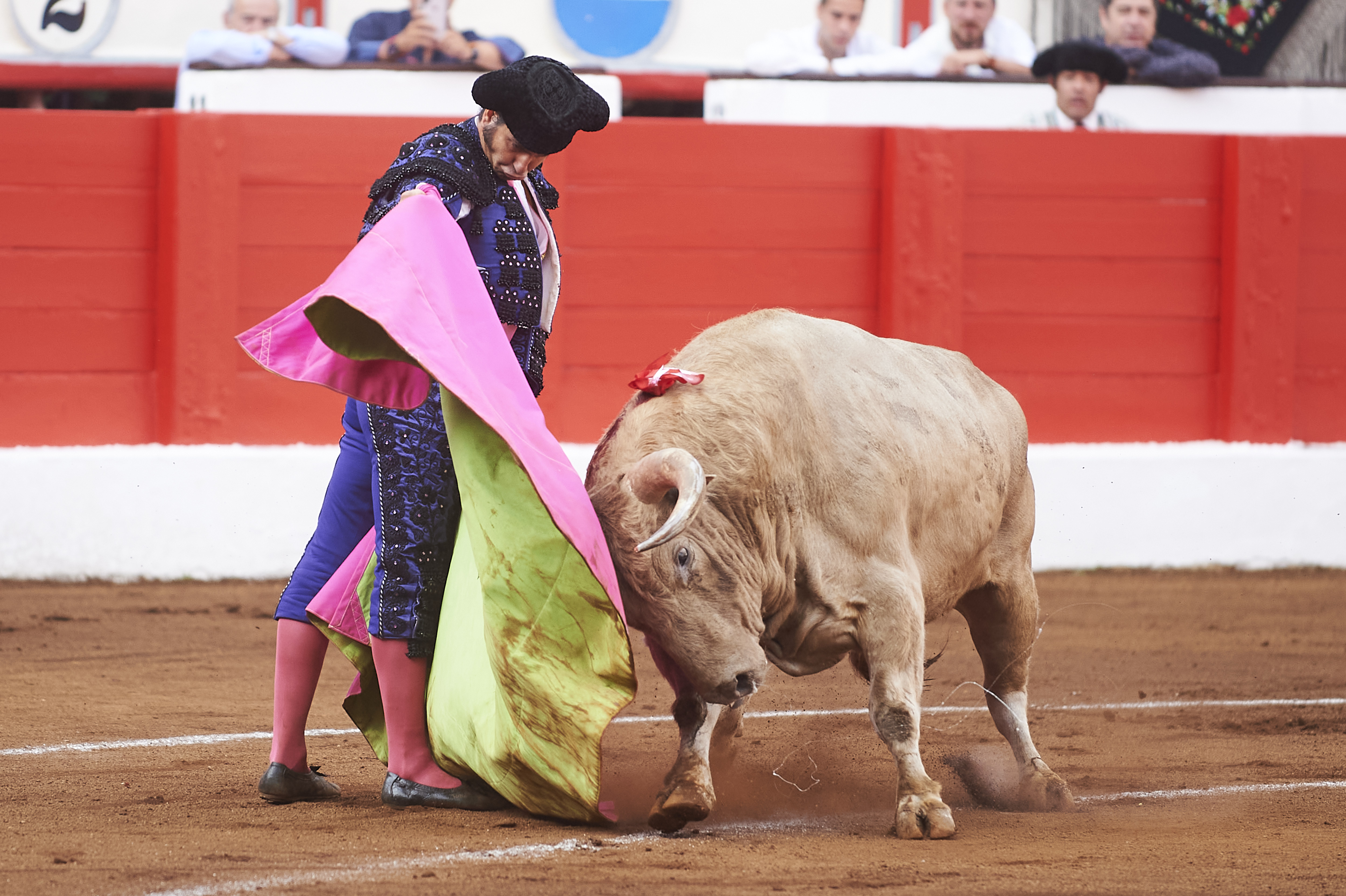 <p>© Foto: César Ortiz</p>