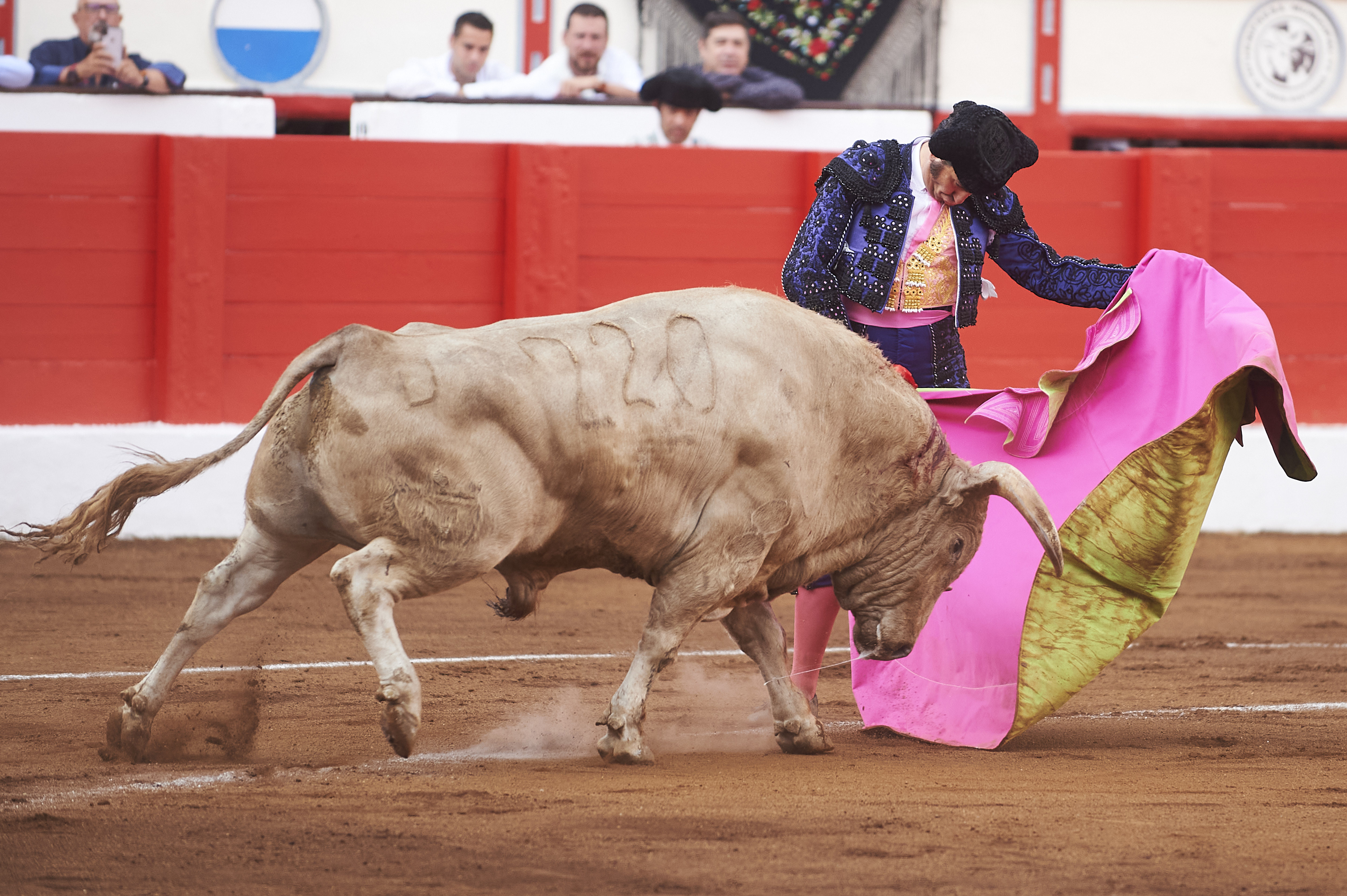 <p>© Foto: César Ortiz</p>