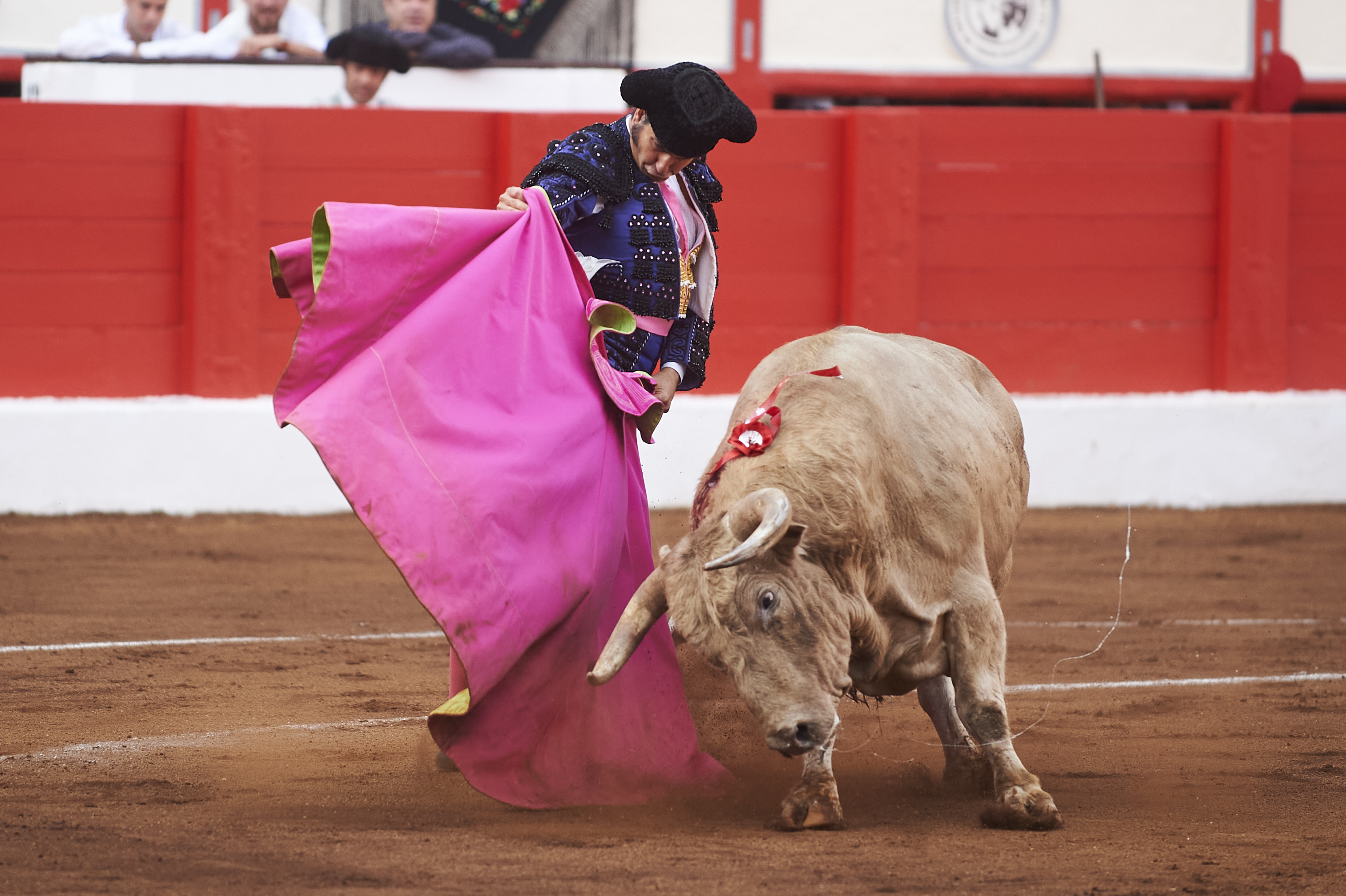 <p>© Foto: César Ortiz</p>