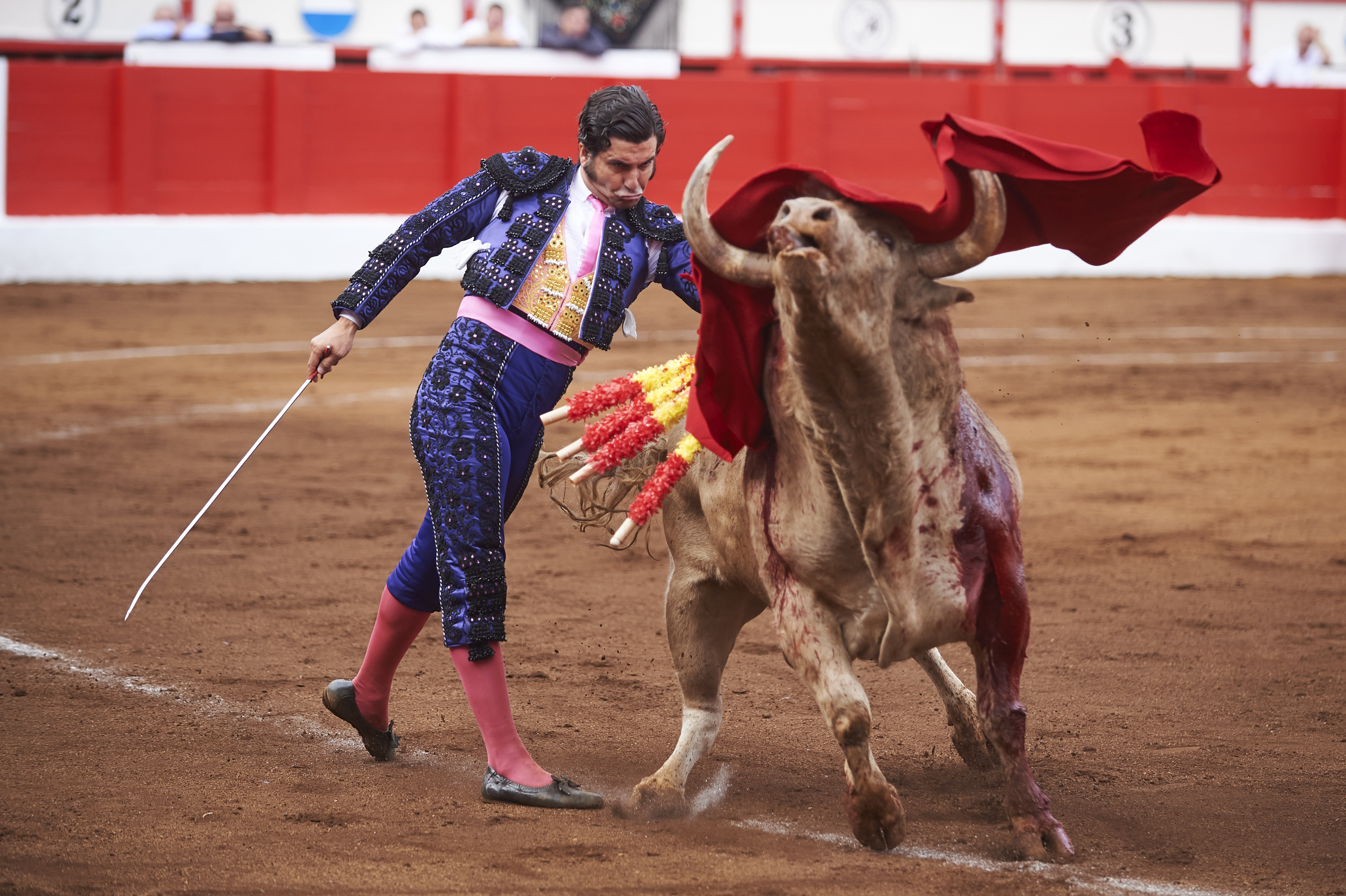 <p>© Foto: César Ortiz</p>