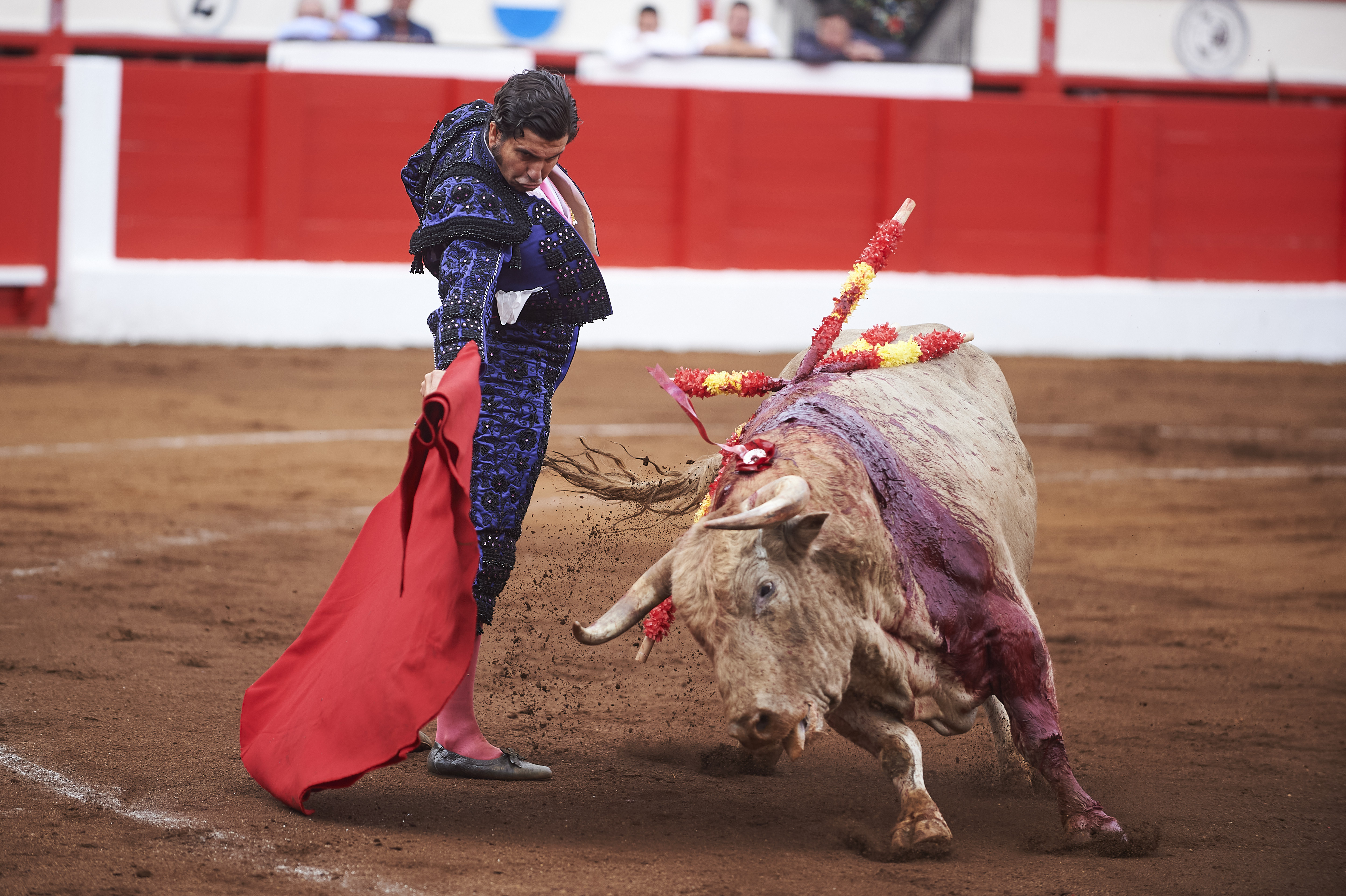 <p>© Foto: César Ortiz</p>