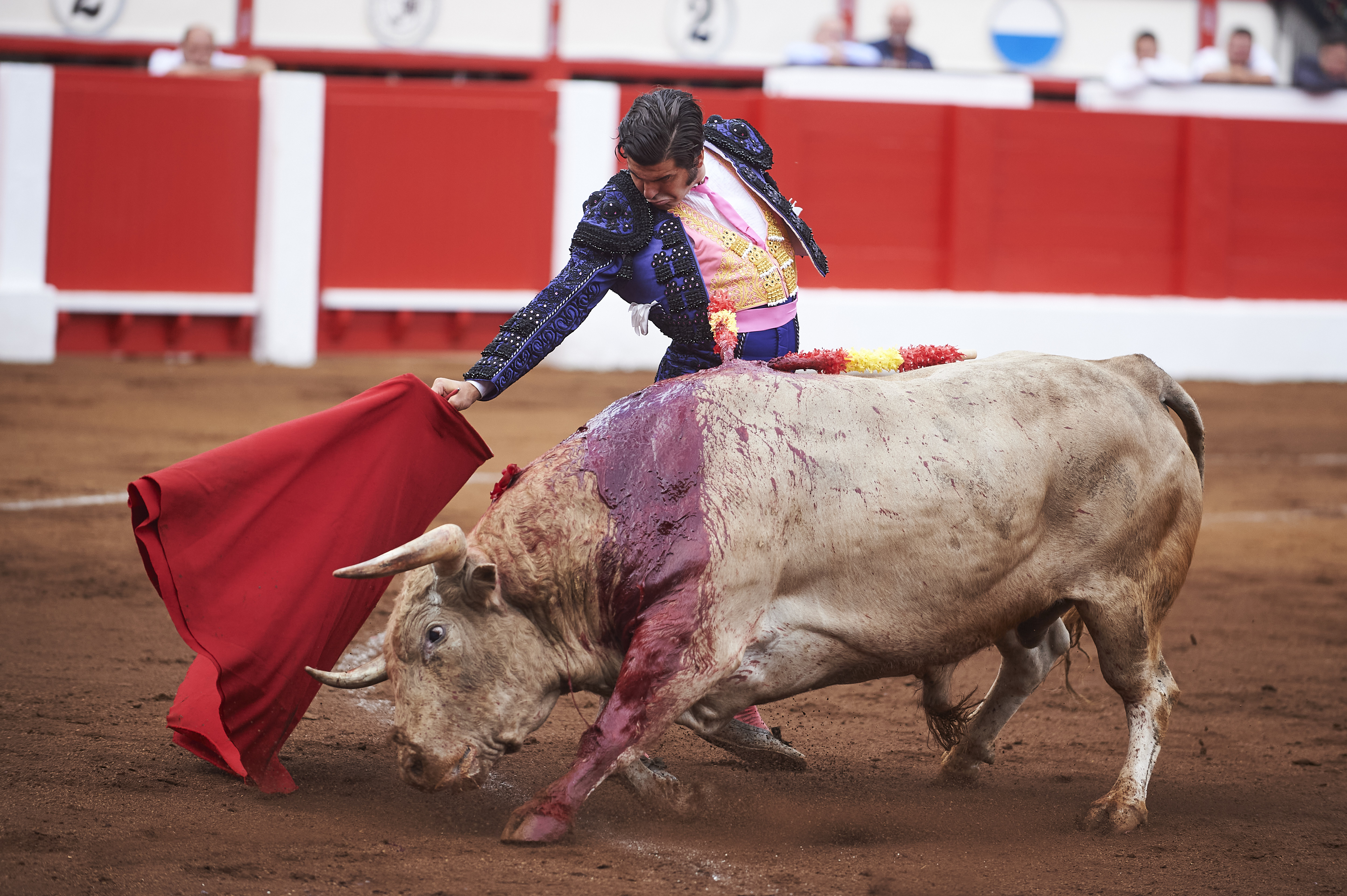 <p>© Foto: César Ortiz</p>