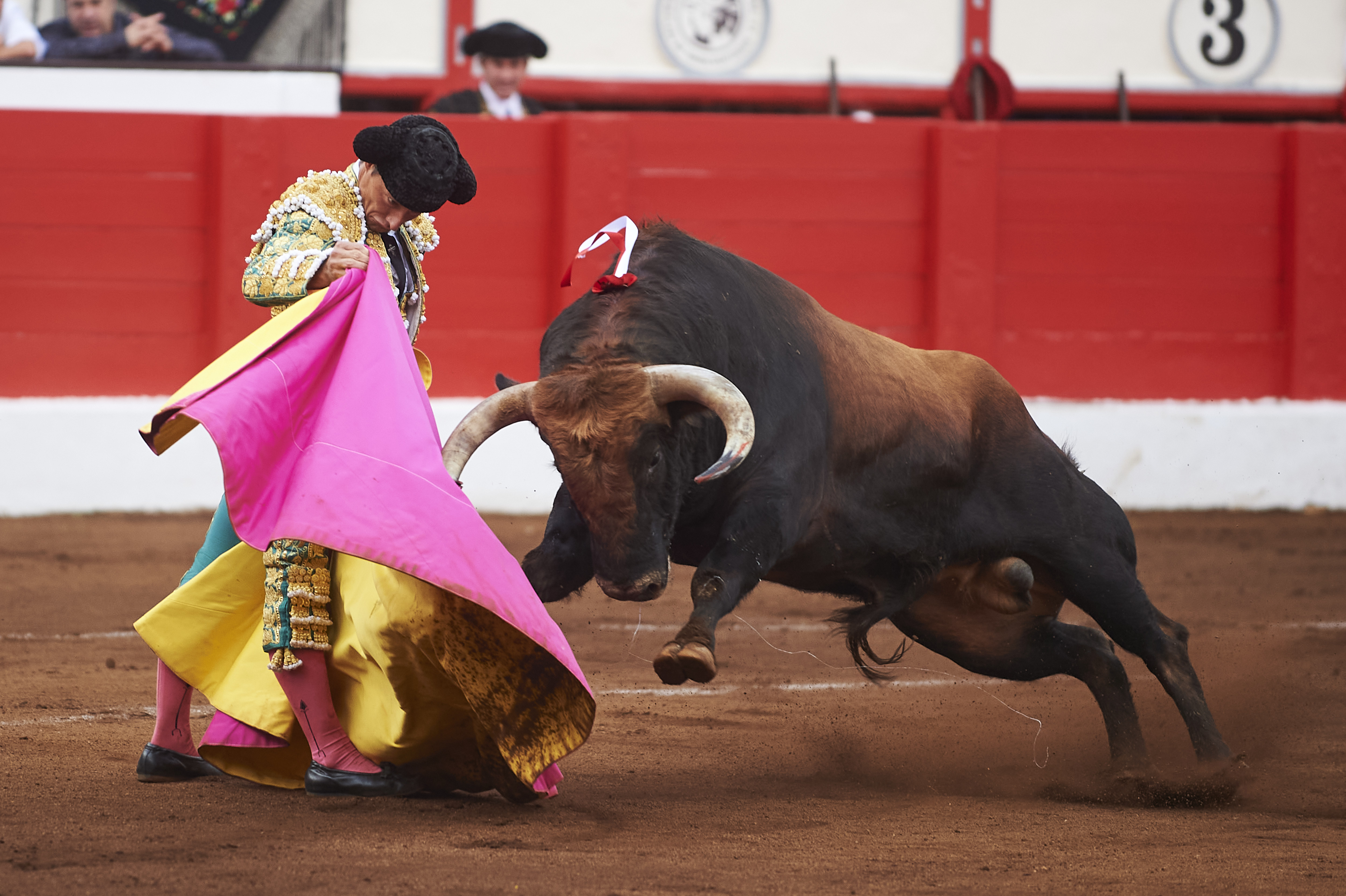 <p>© Foto: César Ortiz</p>
