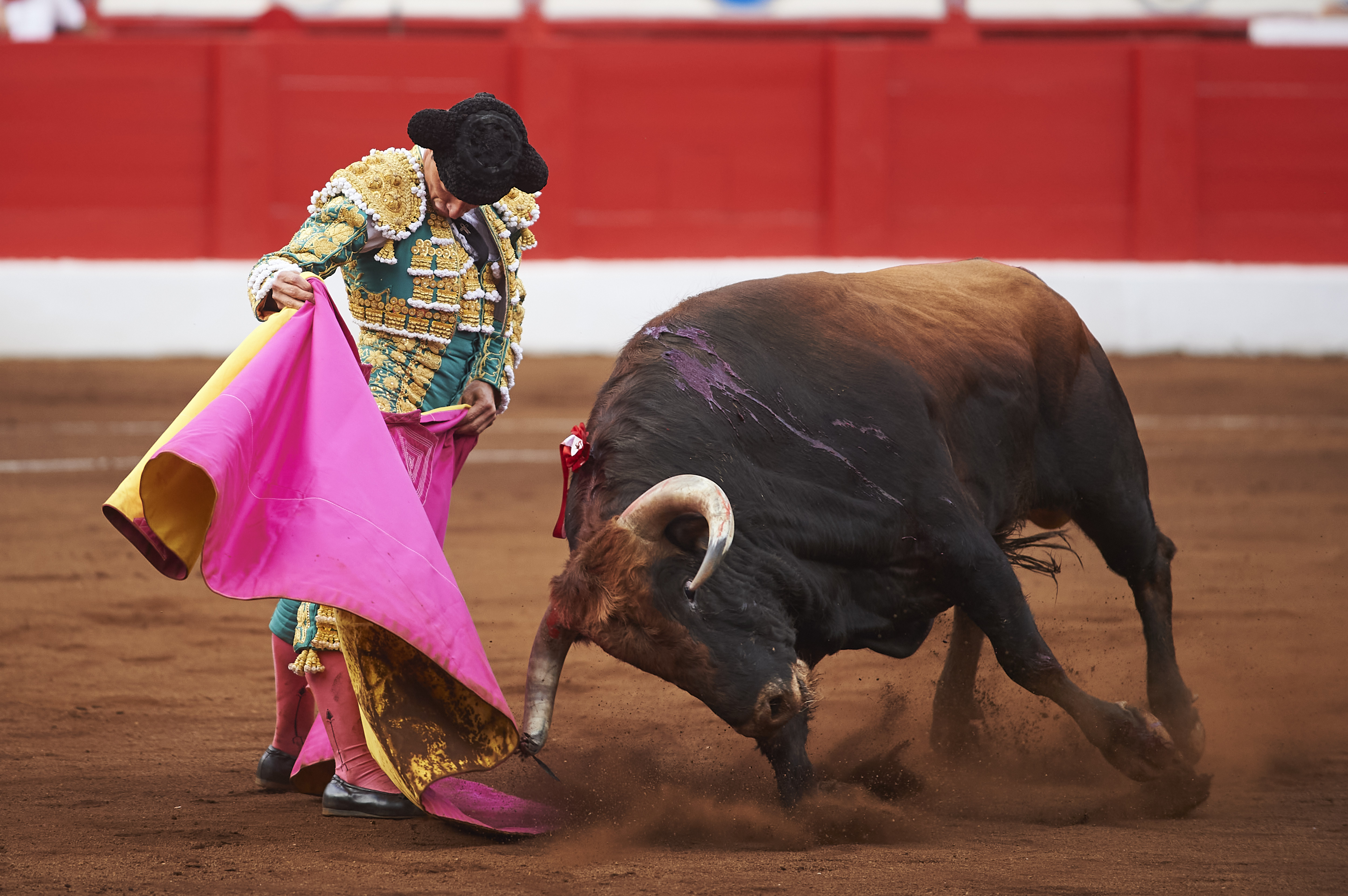<p>© Foto: César Ortiz</p>