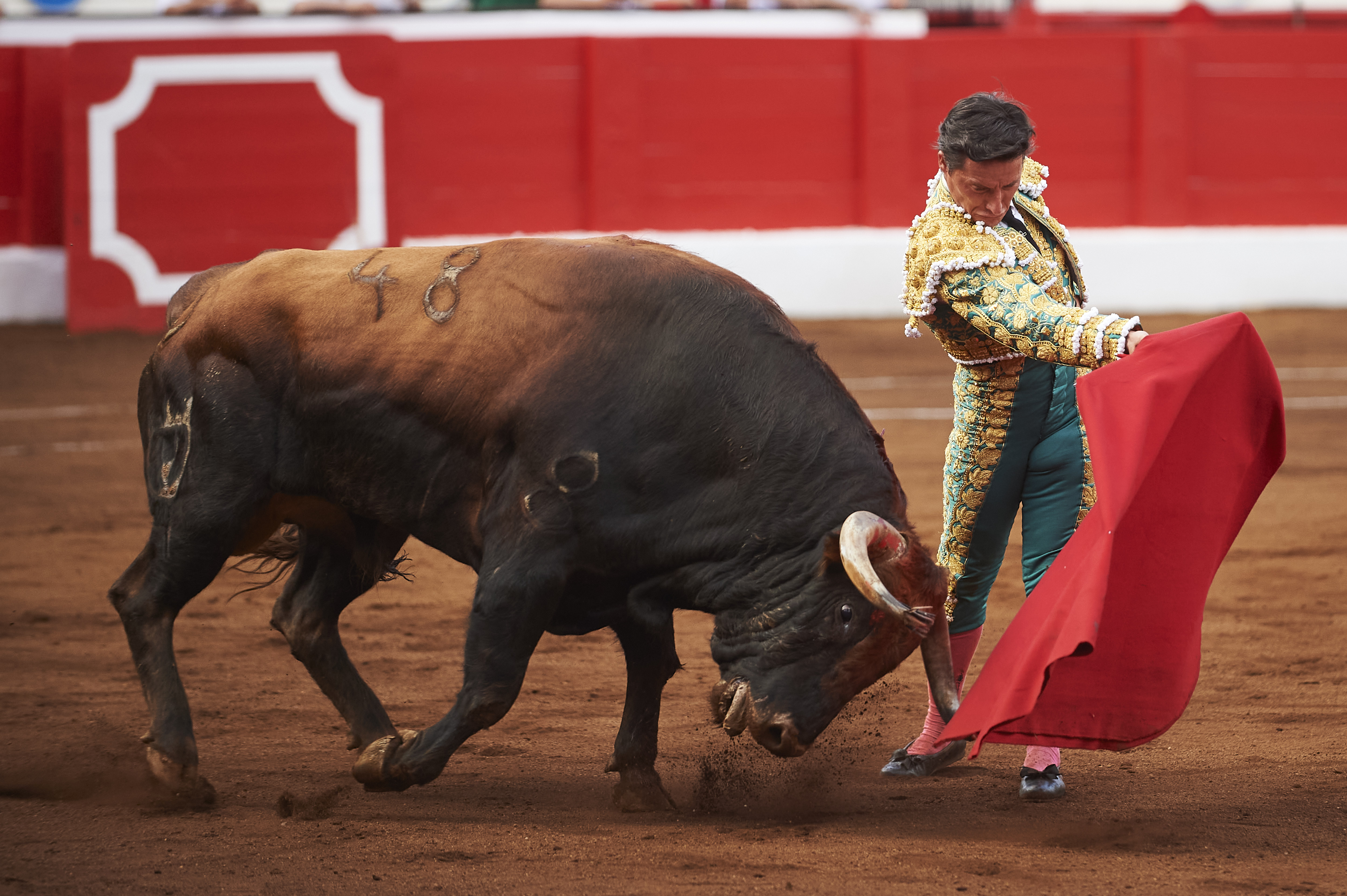 <p>© Foto: César Ortiz</p>