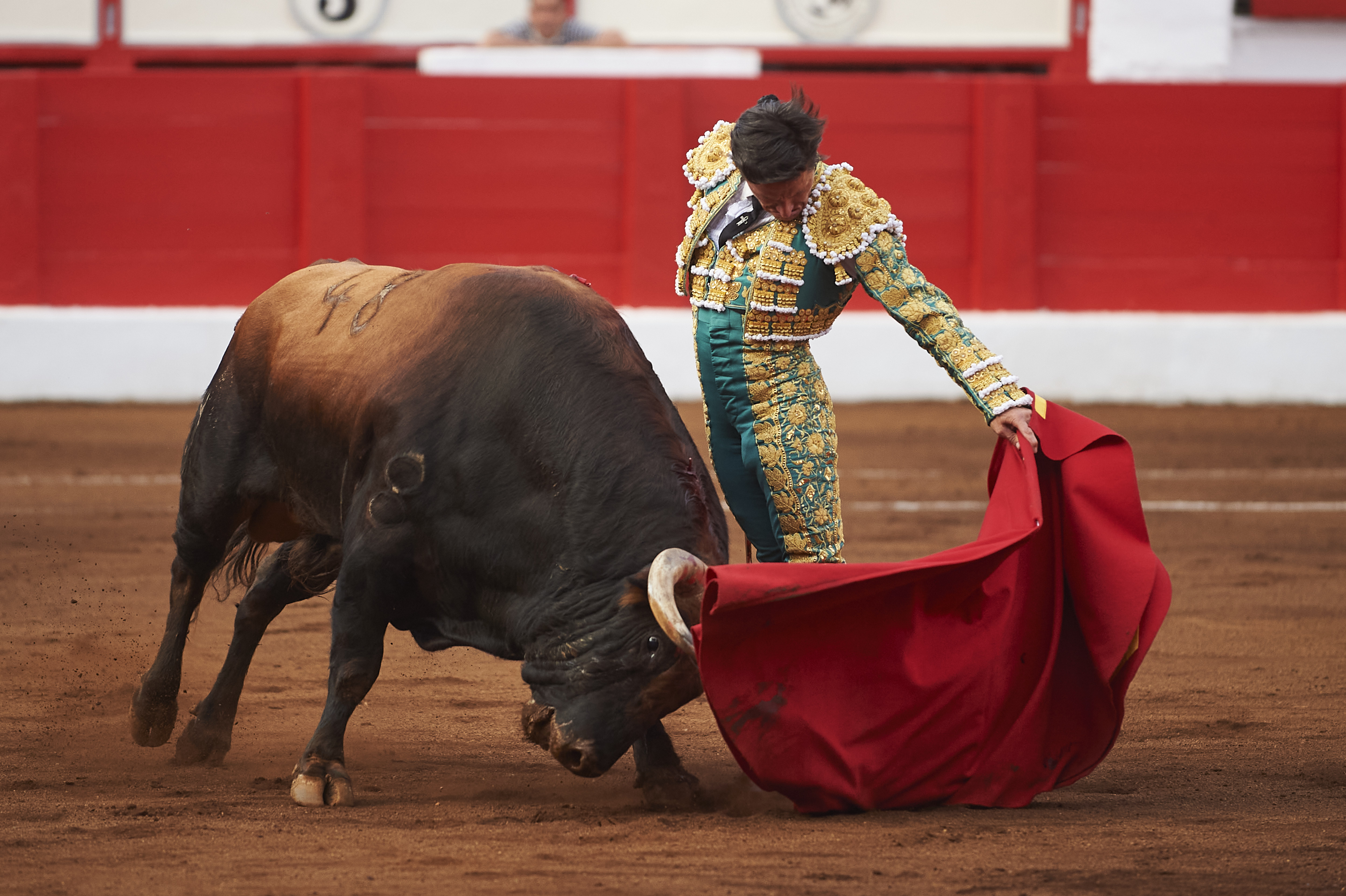 <p>© Foto: César Ortiz</p>