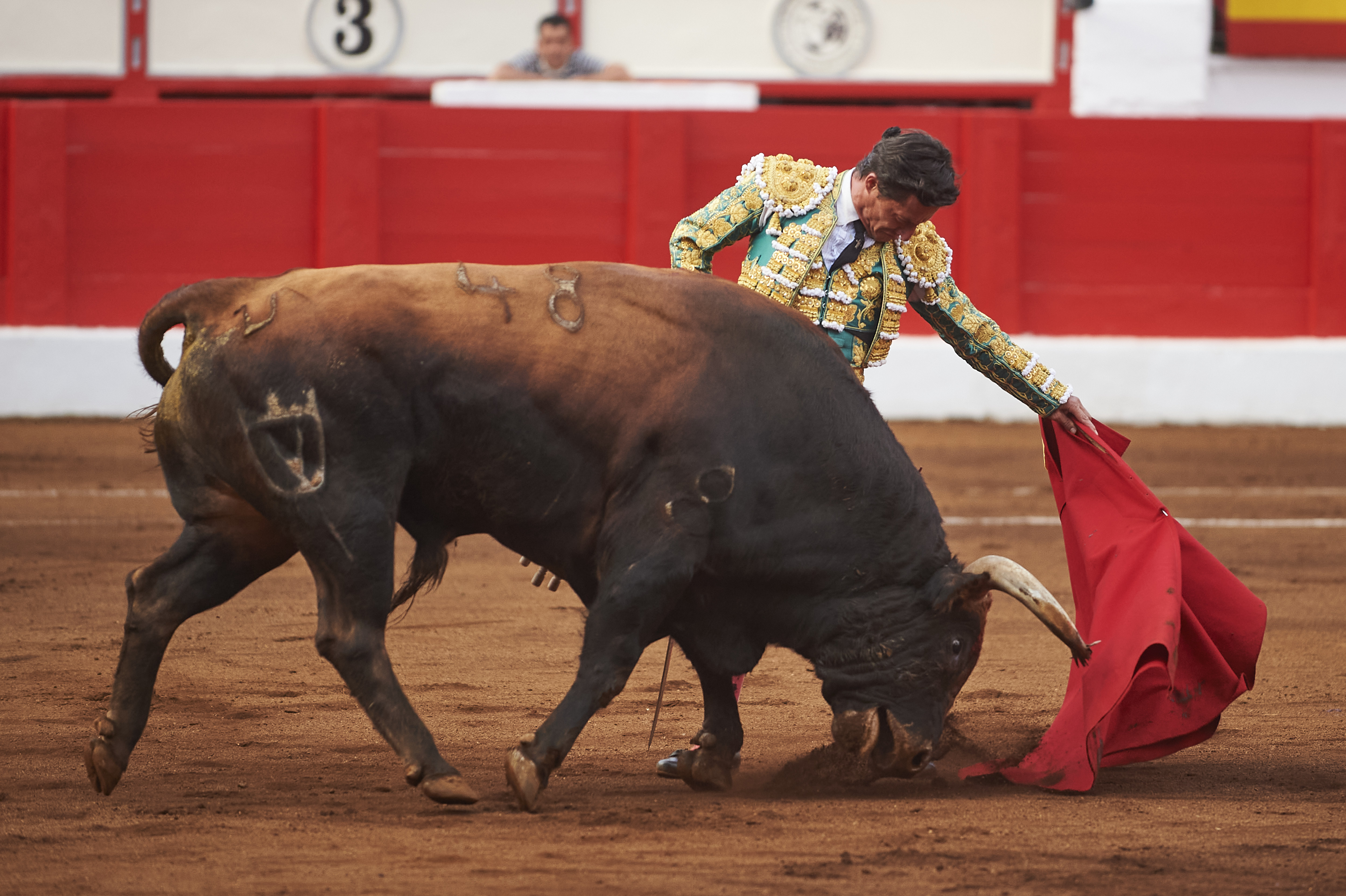 <p>© Foto: César Ortiz</p>