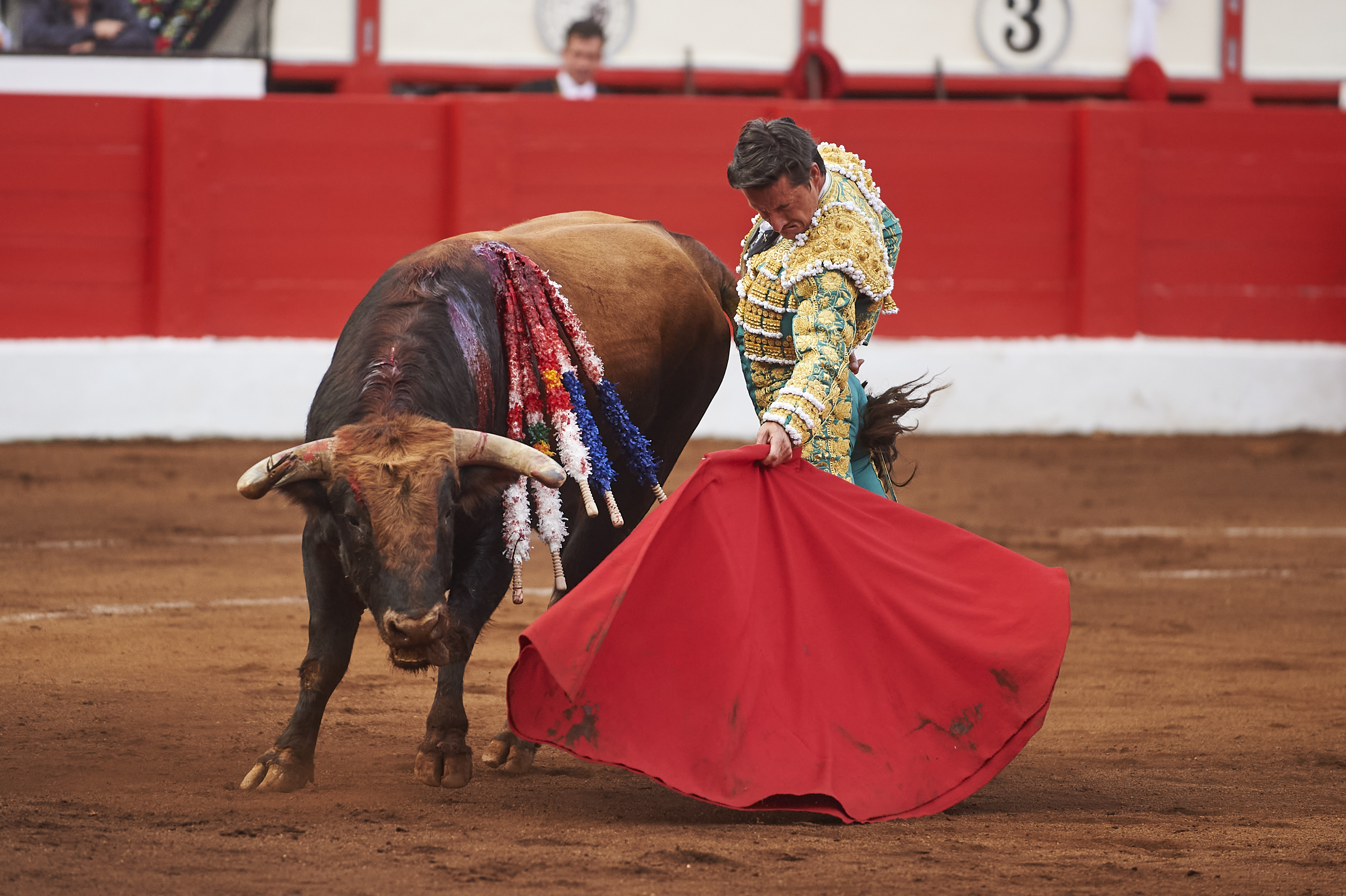 <p>© Foto: César Ortiz</p>