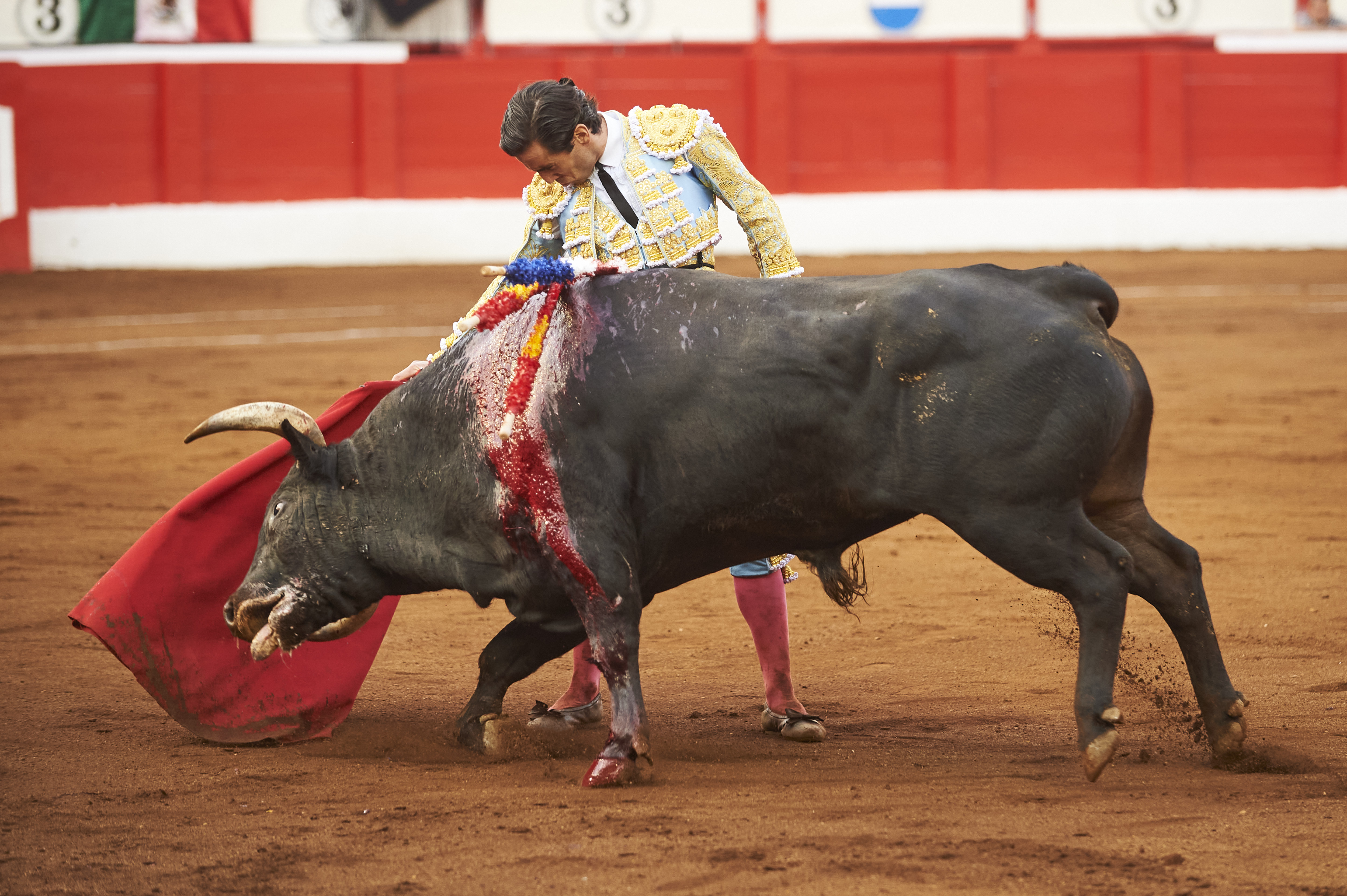<p>© Foto: César Ortiz</p>