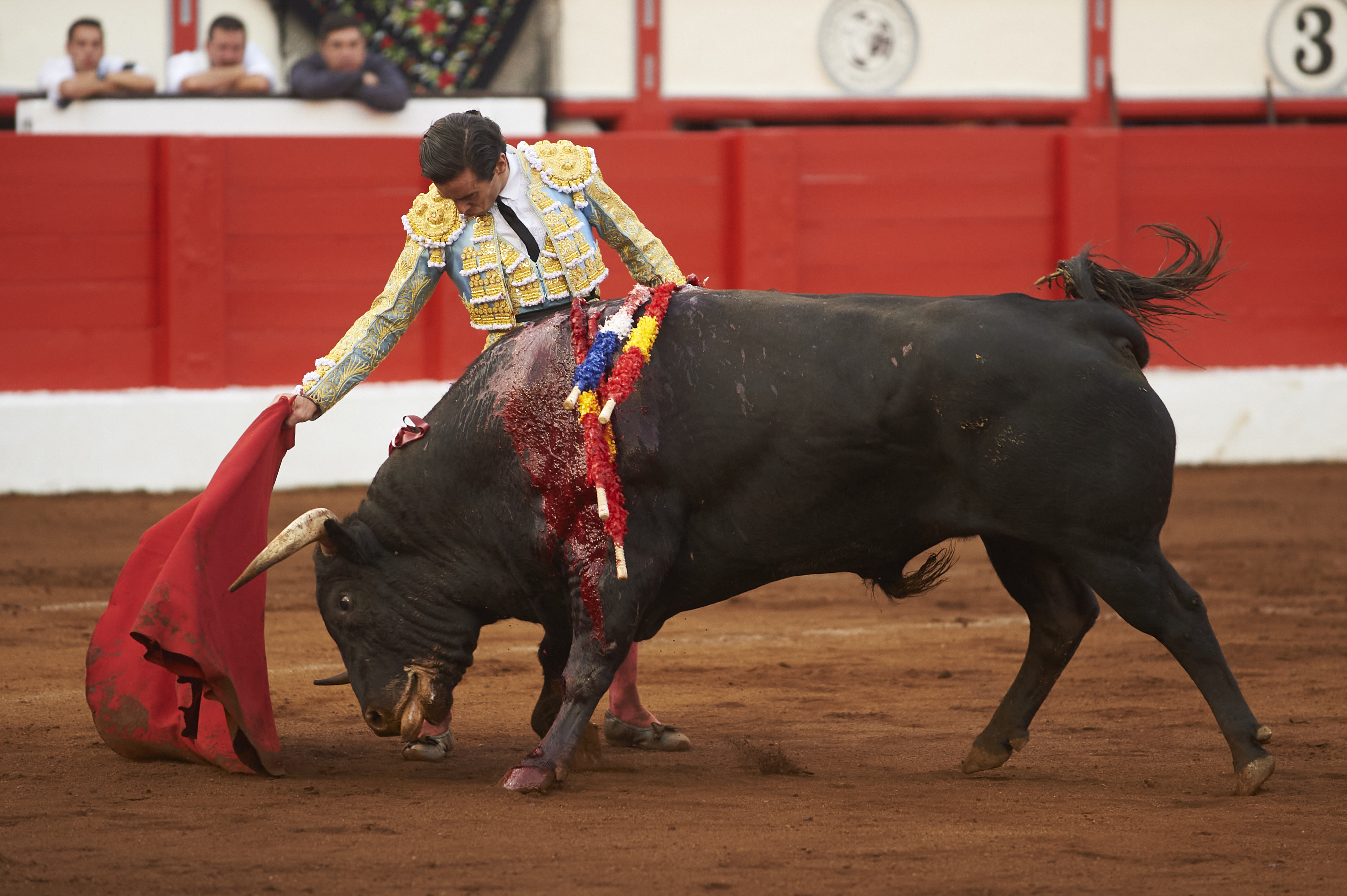 <p>© Foto: César Ortiz</p>