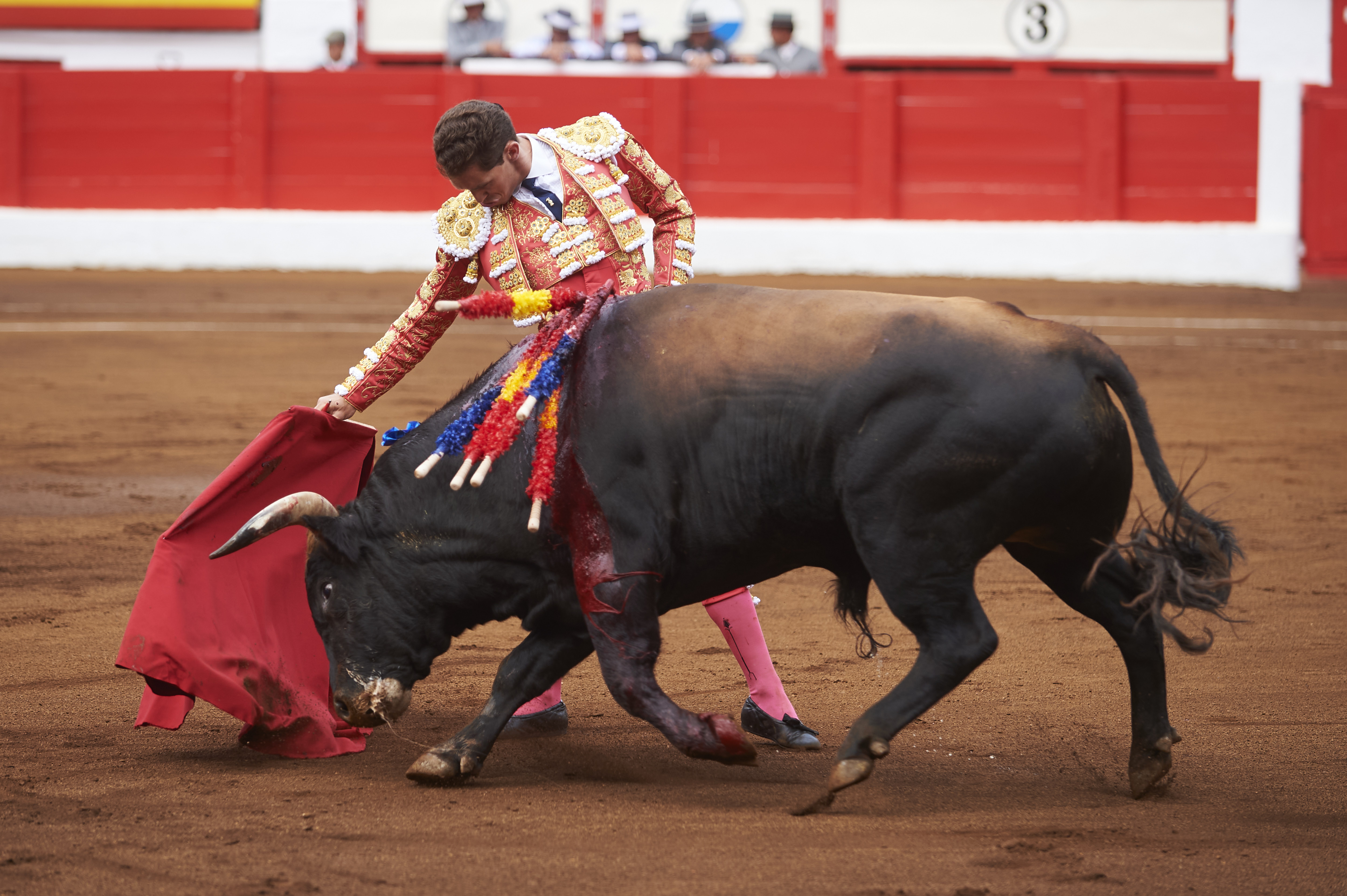 <p>© Foto: César Ortiz</p>