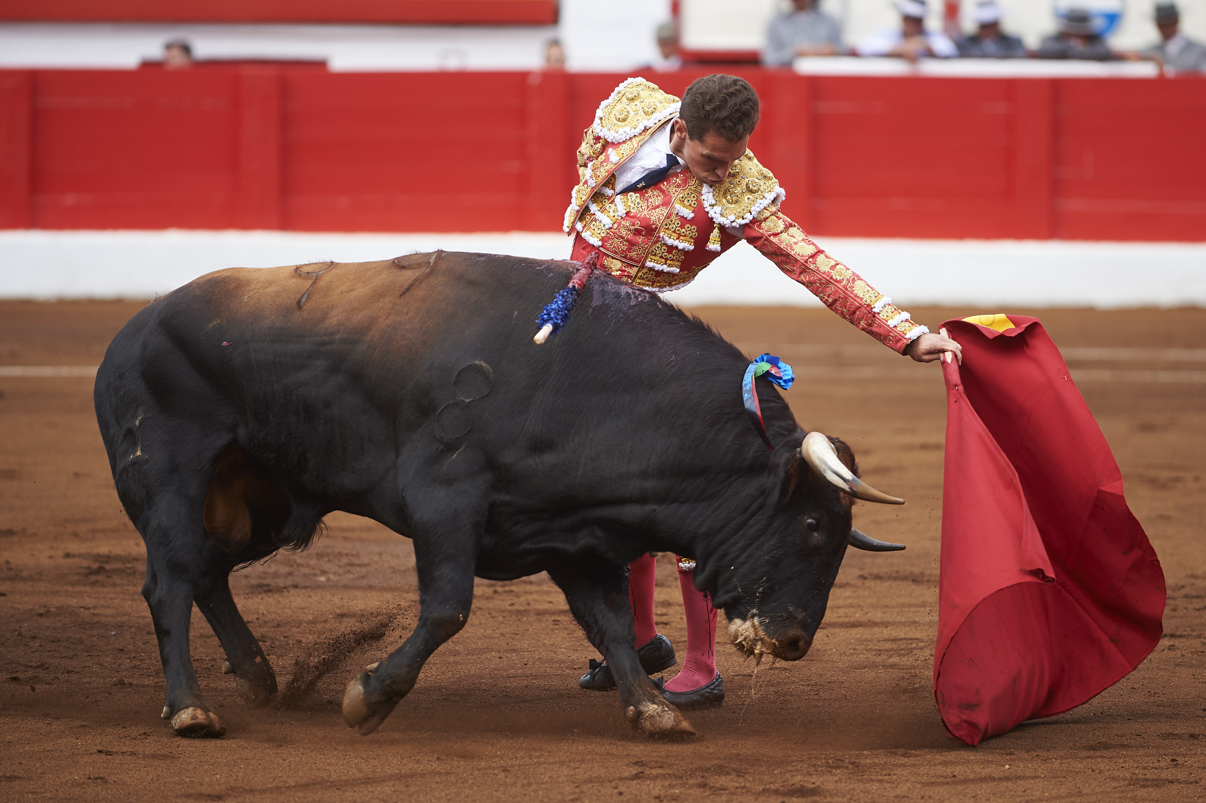 <p>© Foto: César Ortiz</p>