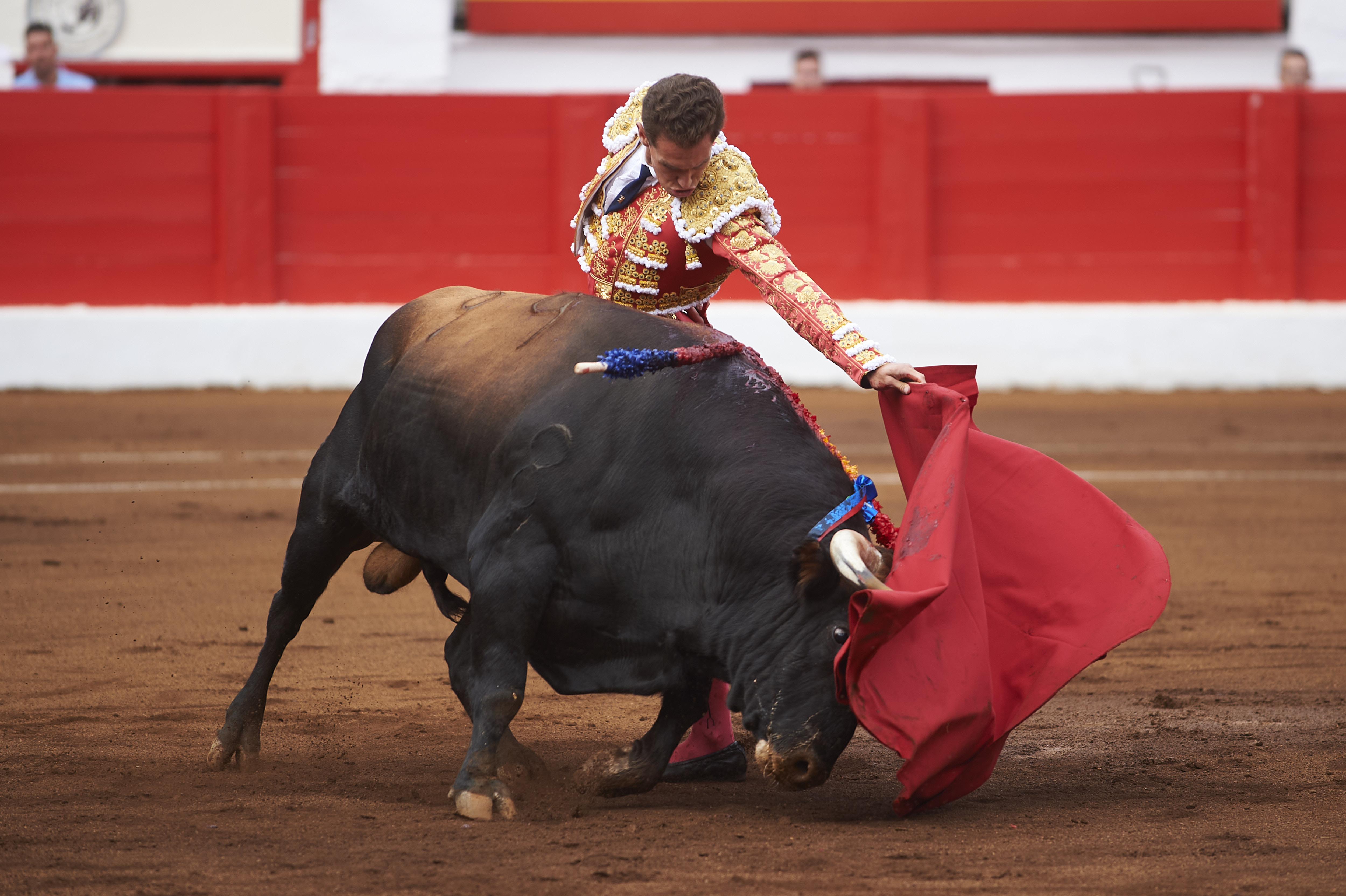 <p>© Foto: César Ortiz</p>