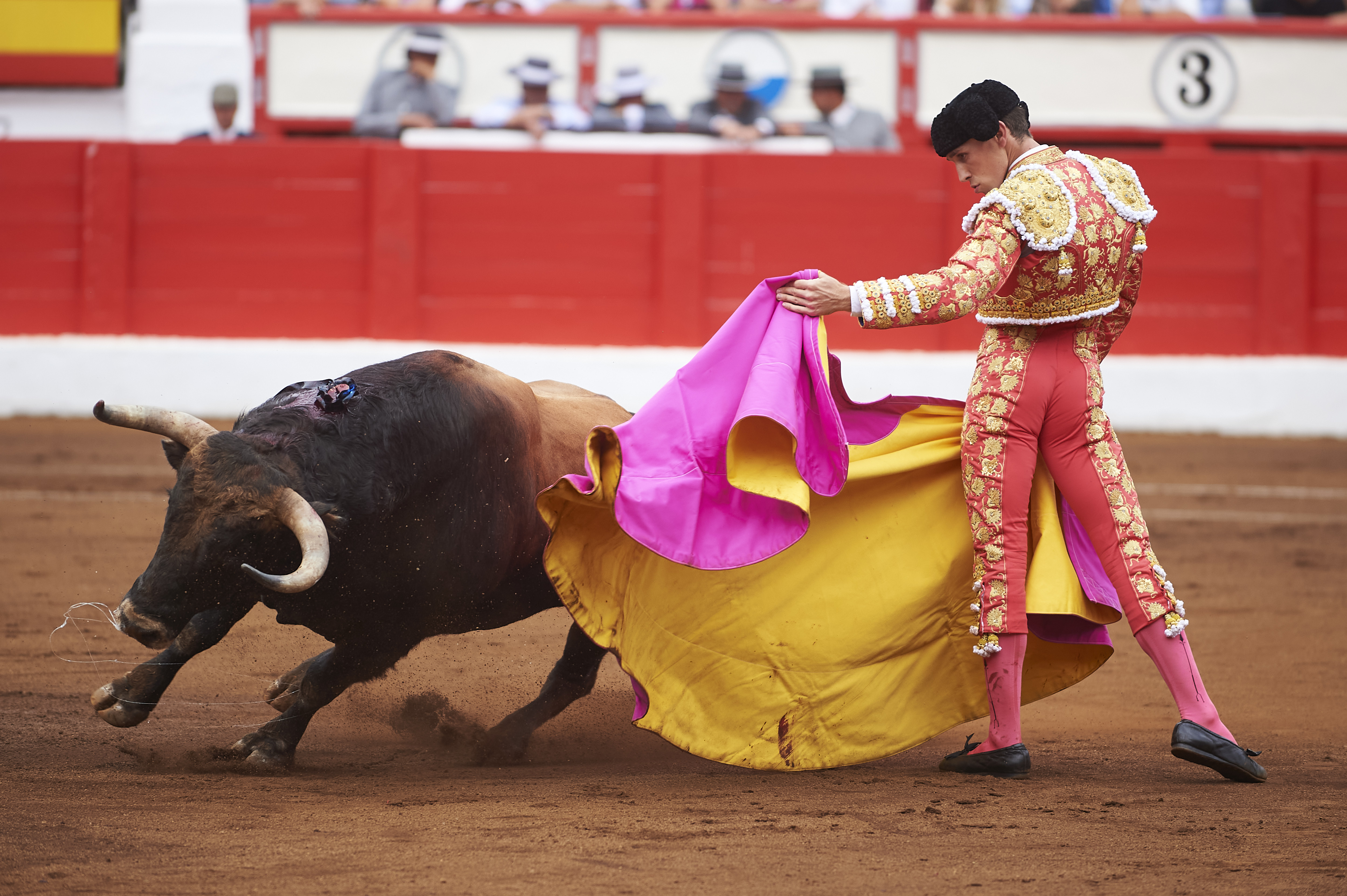 <p>© Foto: César Ortiz</p>